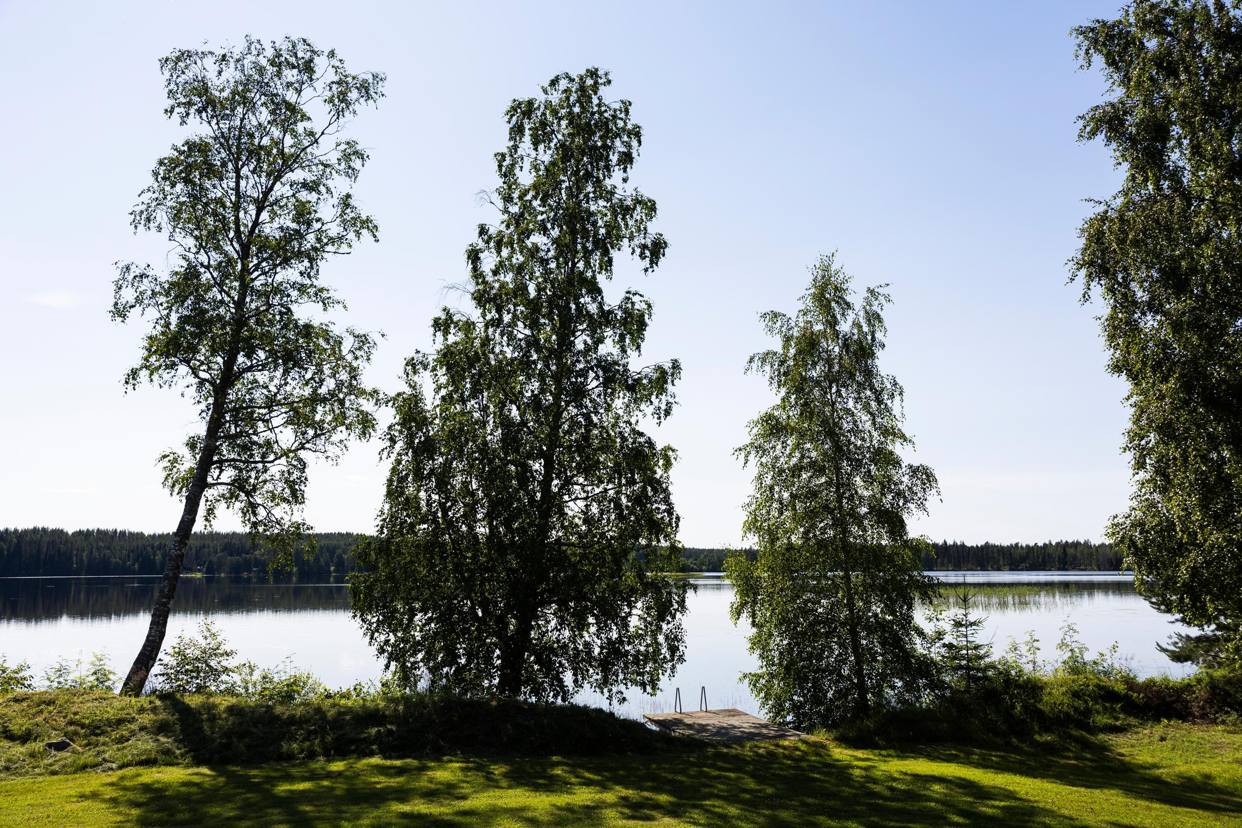 Rantamaisemaa Lasse Lehtisen huvilalla