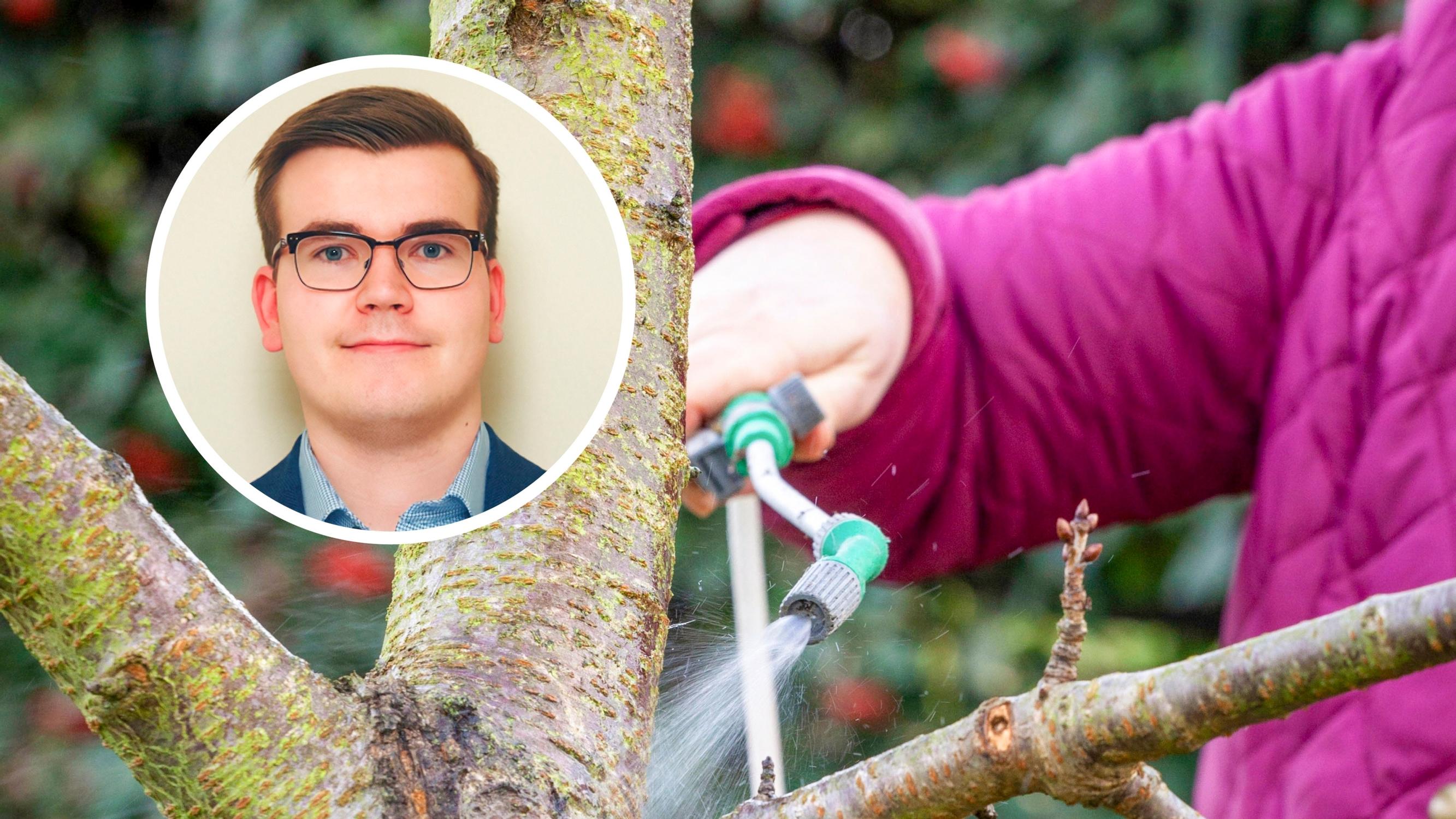 Kevätruiskutus voi aiheuttaa vahinkoa – asiantuntija ei ruiskuttaisi omia omenapuitaan