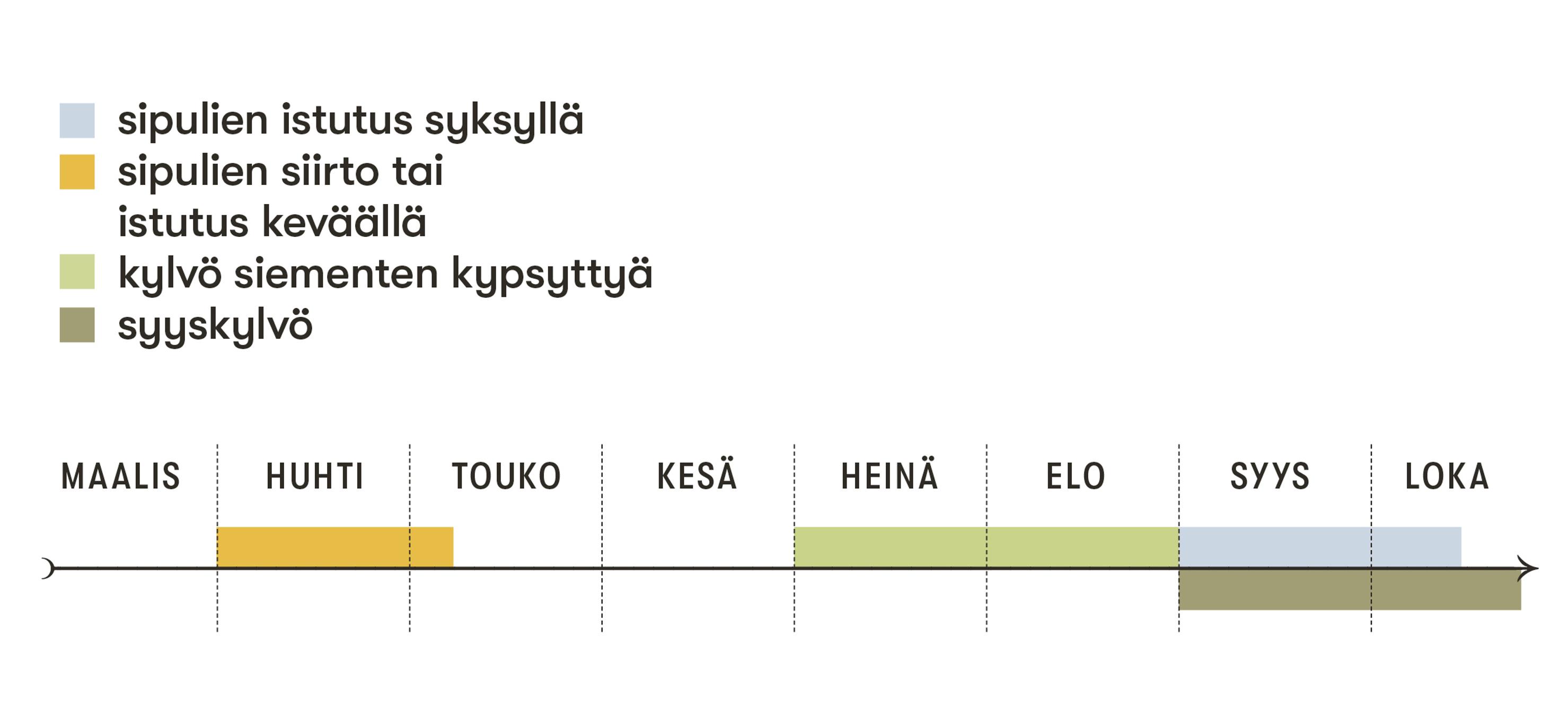 Karhunlaukan kylvö- ja istutusajat