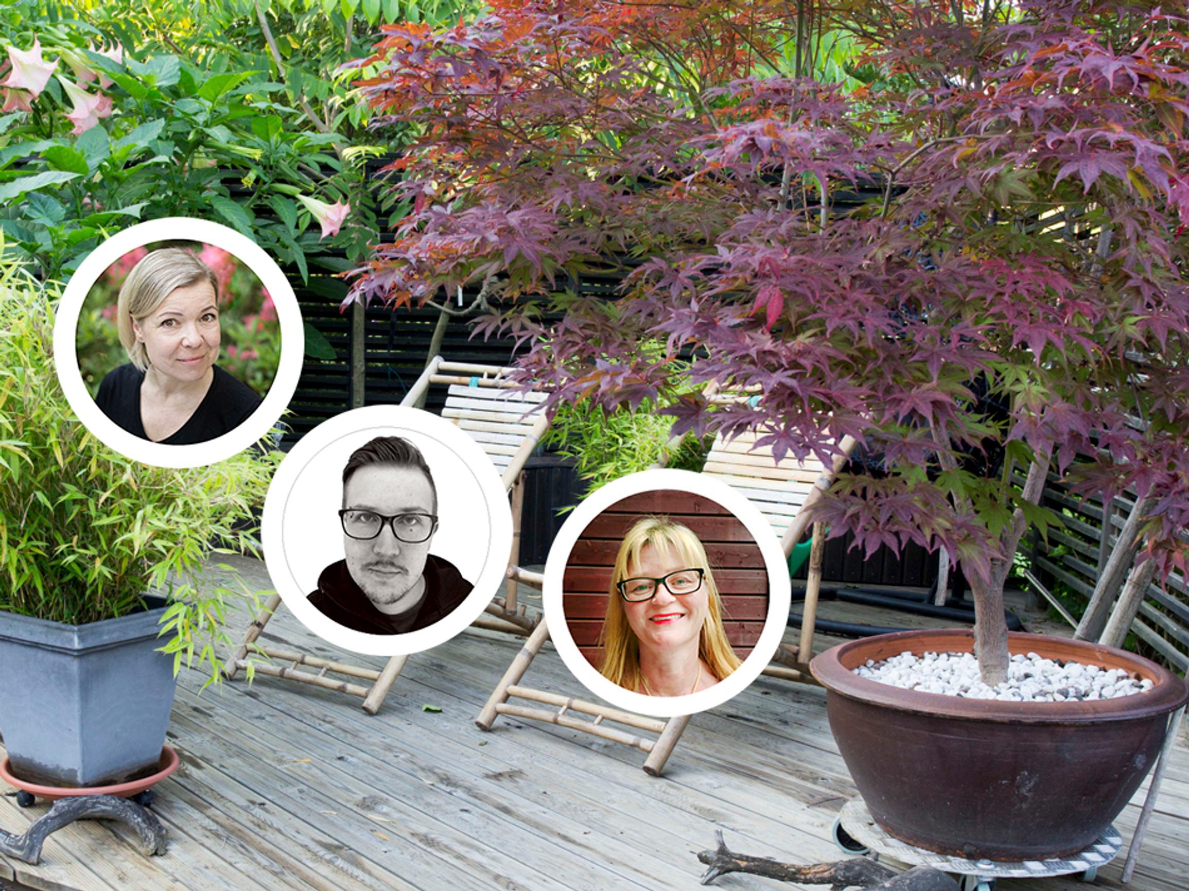 Keppivaahtera ja 8 muuta somaa pikkupuuta ruukkuun – ammattilaiset vinkkaavat suosikkinsa!