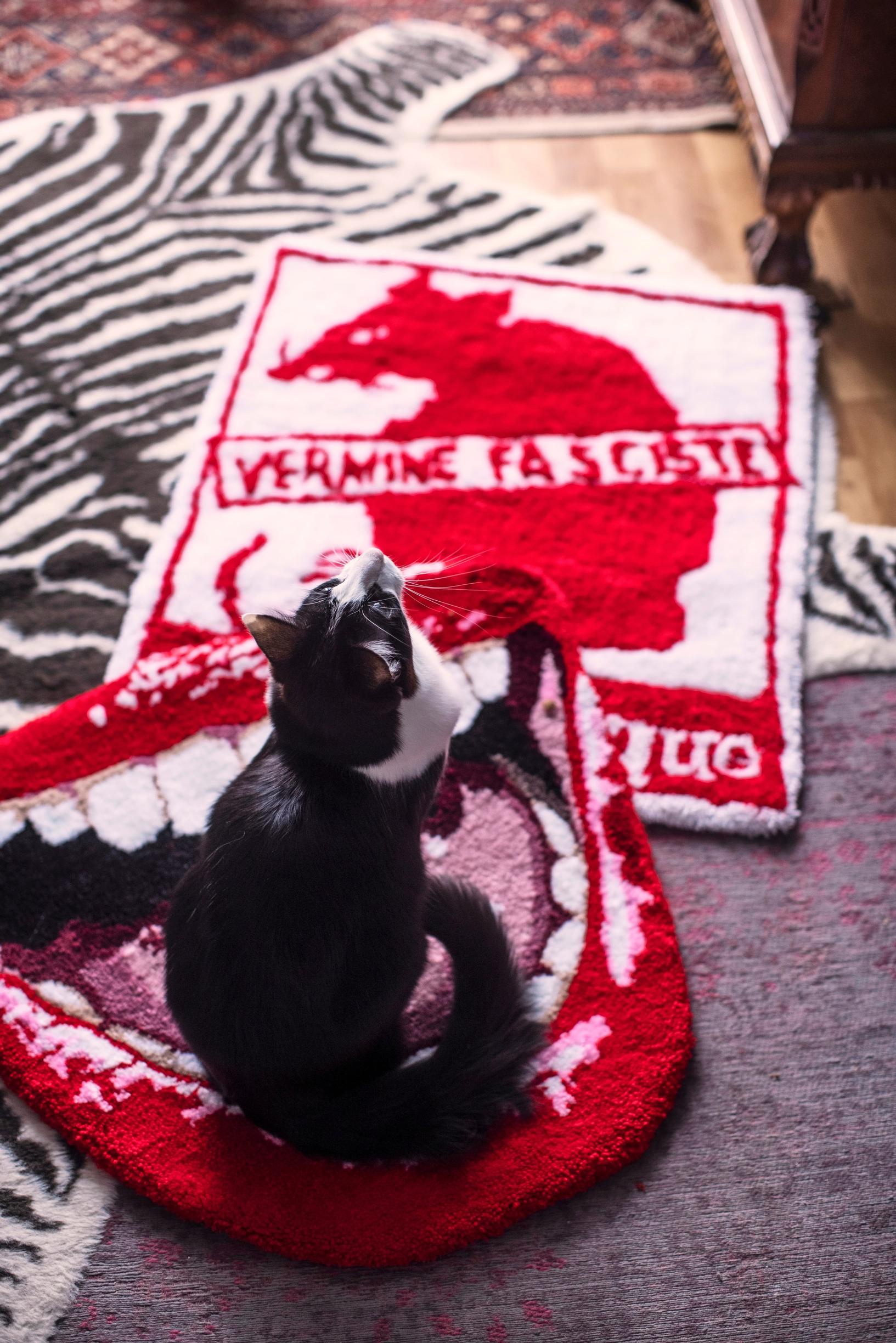Otto-kissa ja ryijyjä
