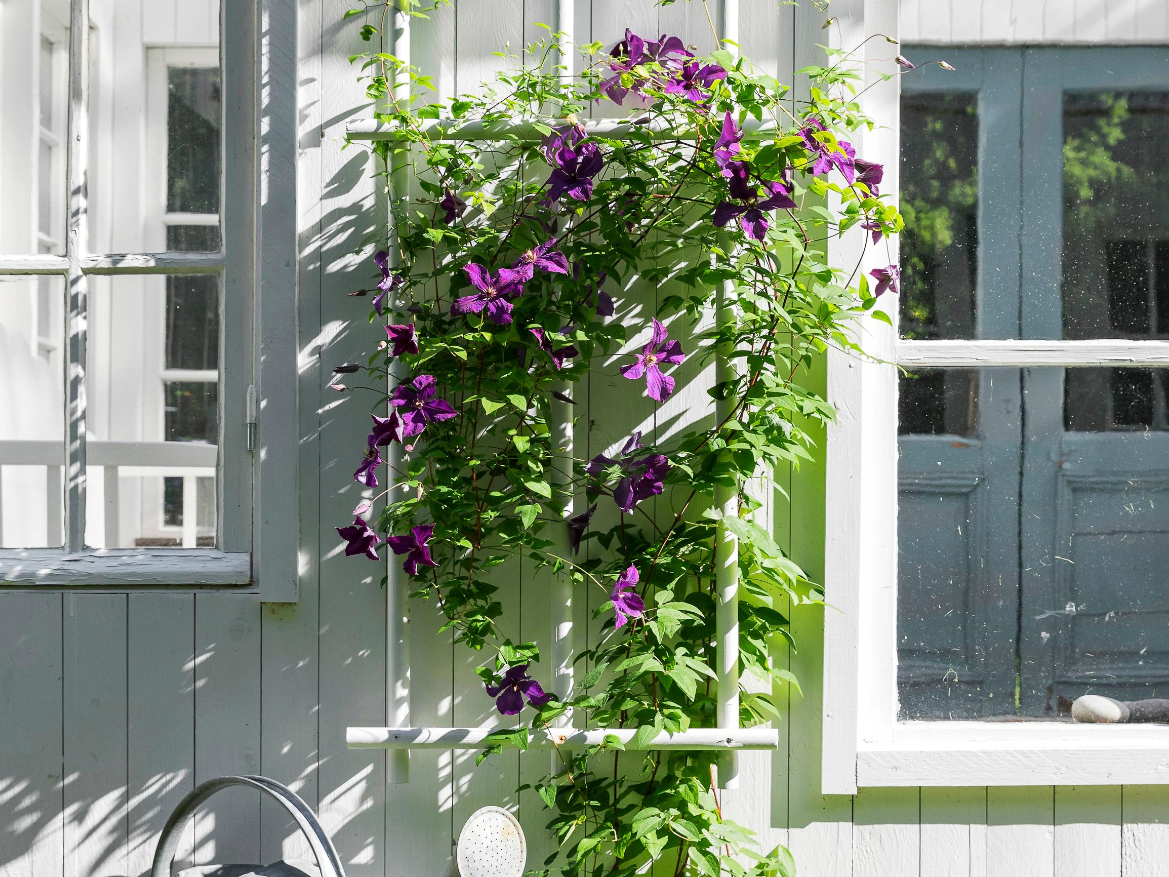 Köynnöstuki puusta – nikkaroi kasville näyttävä kiipeilytuki