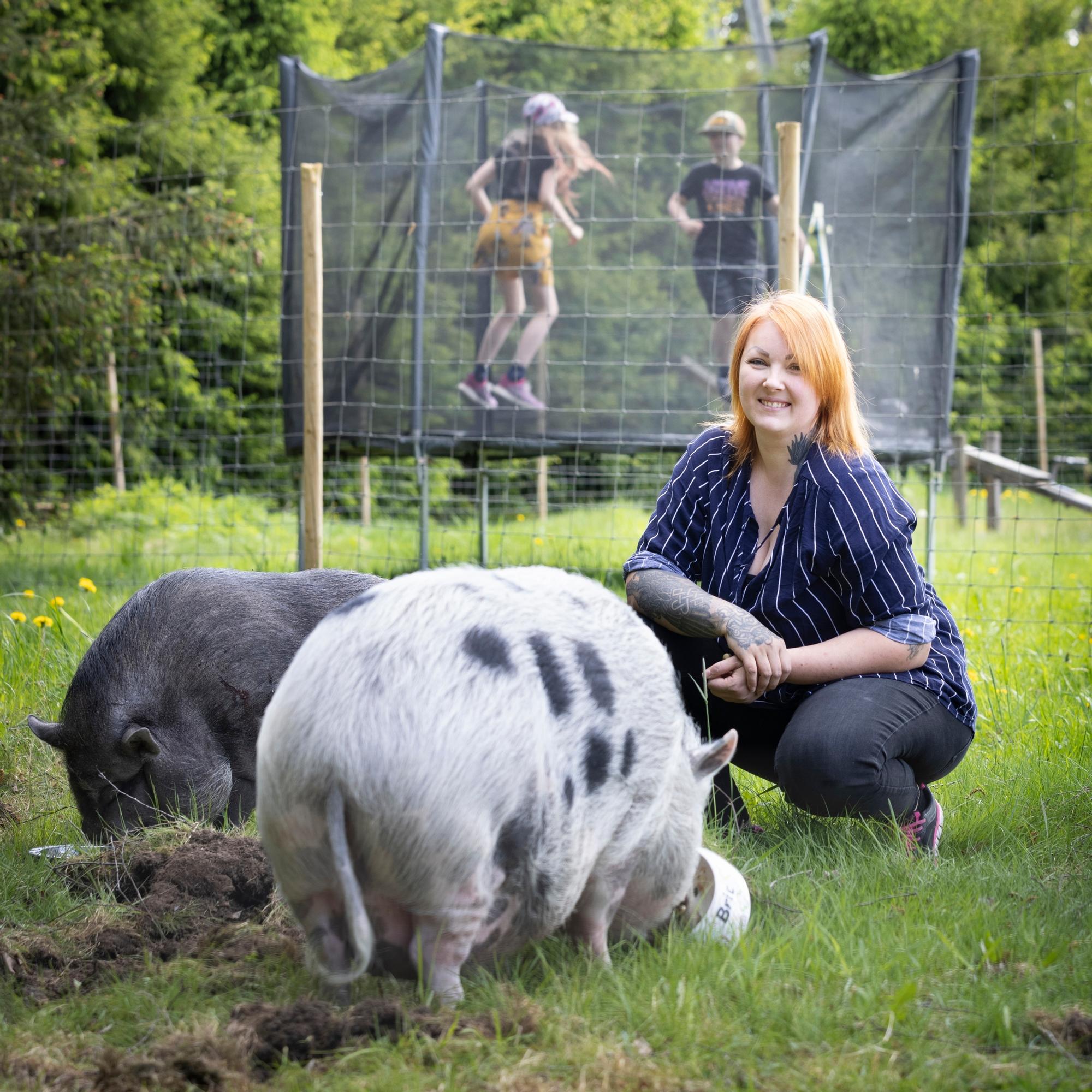 Uusperheen kotona on 900 neliötä ja yli 100 lemmikkiä – ”Haluamme tarjota eläimille hyvän loppuelämän” 