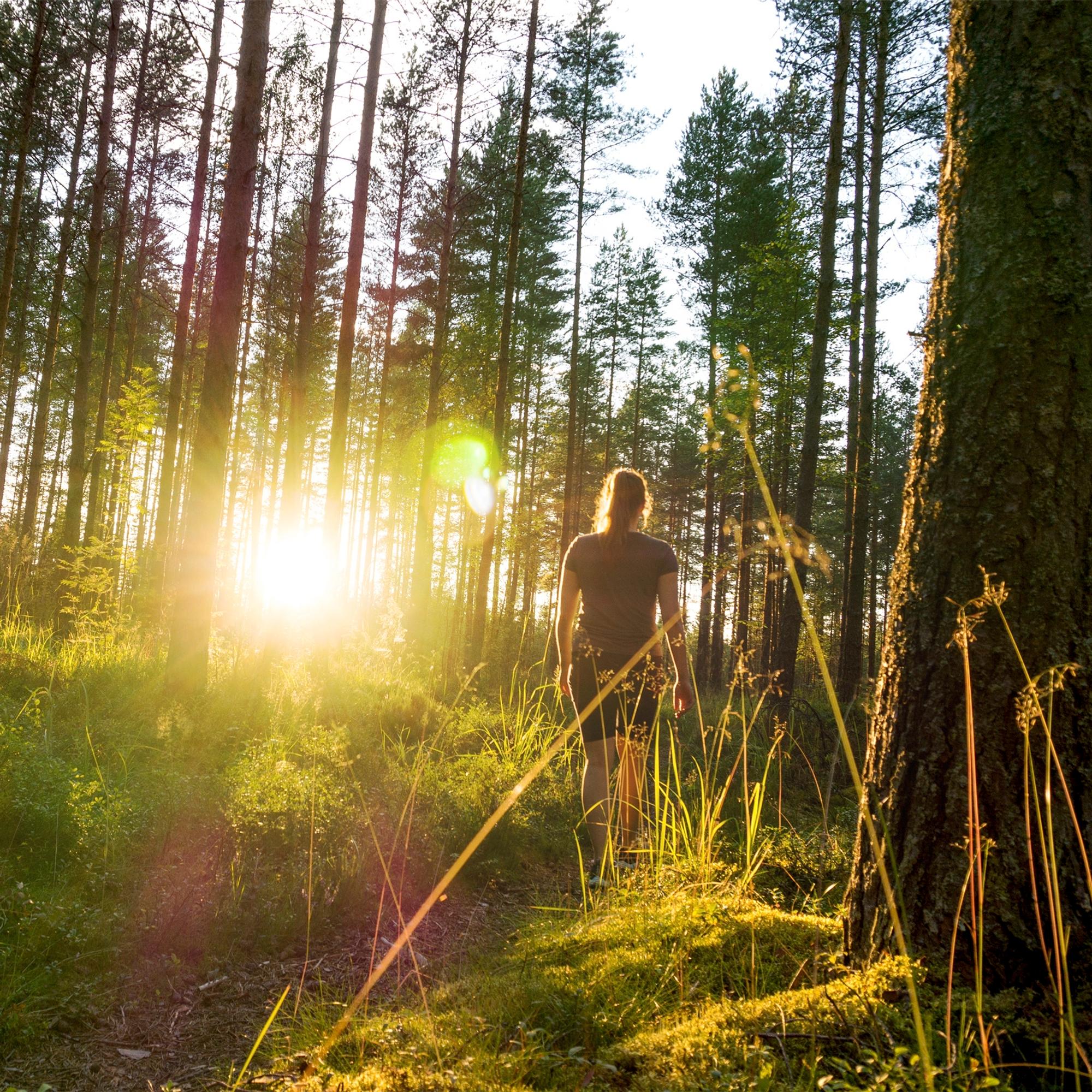 Tykkäätkö käydä kävelyllä? Listasimme 3 syytä, miksi kävelyyn kannattaa rakastua