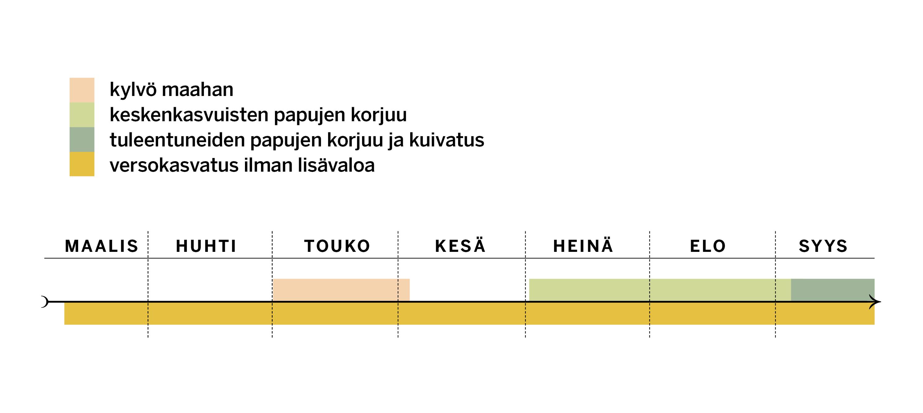 Härkäpavun kylvö- ja sadonkorjuuajat