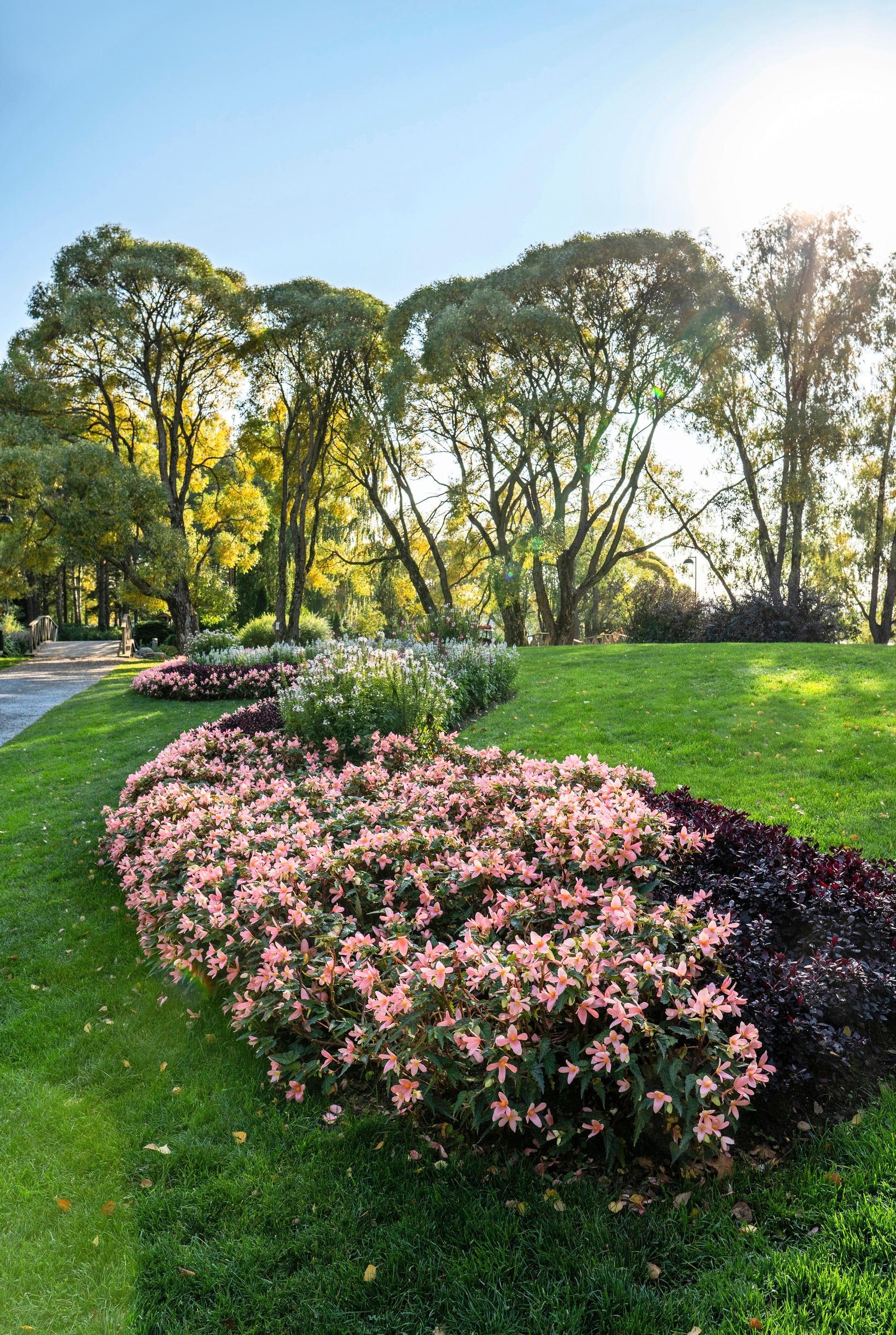 Hatanpään arboretum
