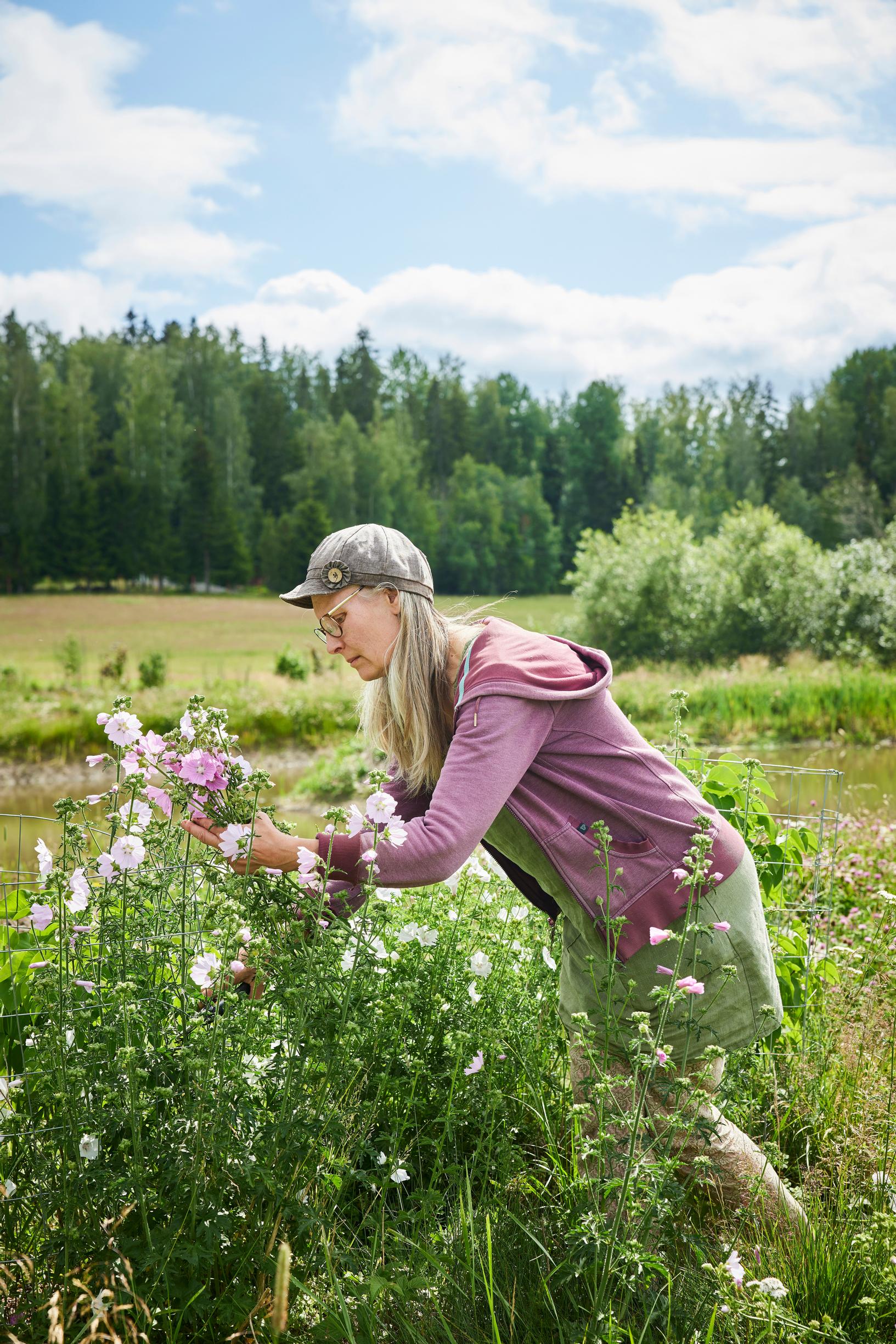 Agrologi, maisemasuunnittelija Marja Nuora opettelee hyödyntämään monivuotisia vihanneksia ruoanlaitossa.