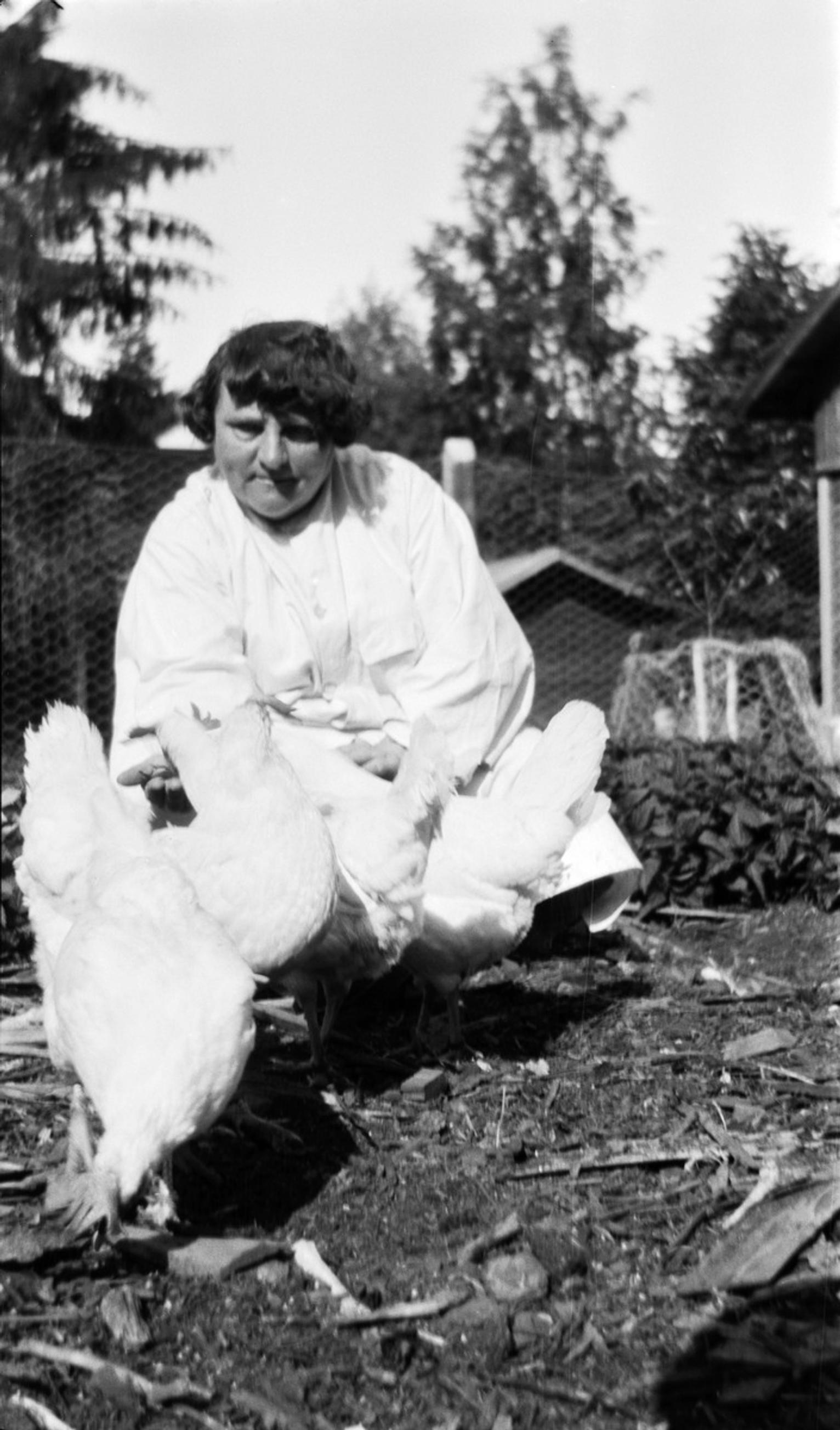 Ellen Svinhufvud ruokkii kanaa