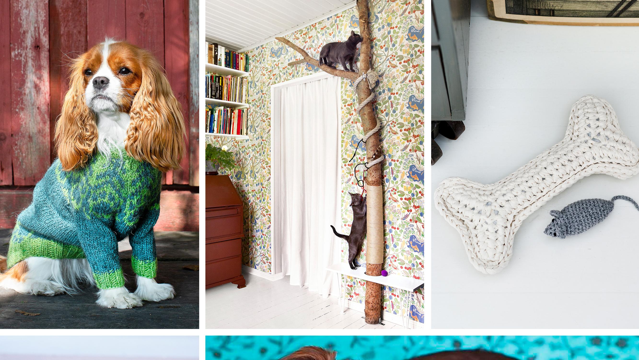 Itse tehtyä lemmikille! Samisneuleet koiralle ja omistajalle, kissan kiipeilypuu + 6 muuta hauskaa ohjetta