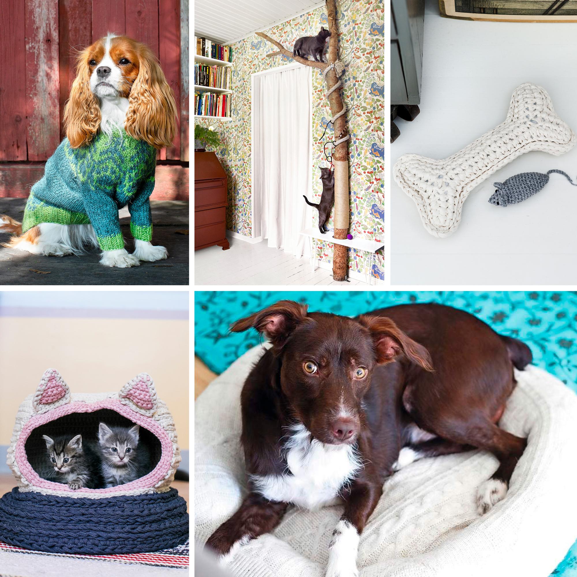 Itse tehtyä lemmikille! Samisneuleet koiralle ja omistajalle, kissan kiipeilypuu + 6 muuta hauskaa ohjetta