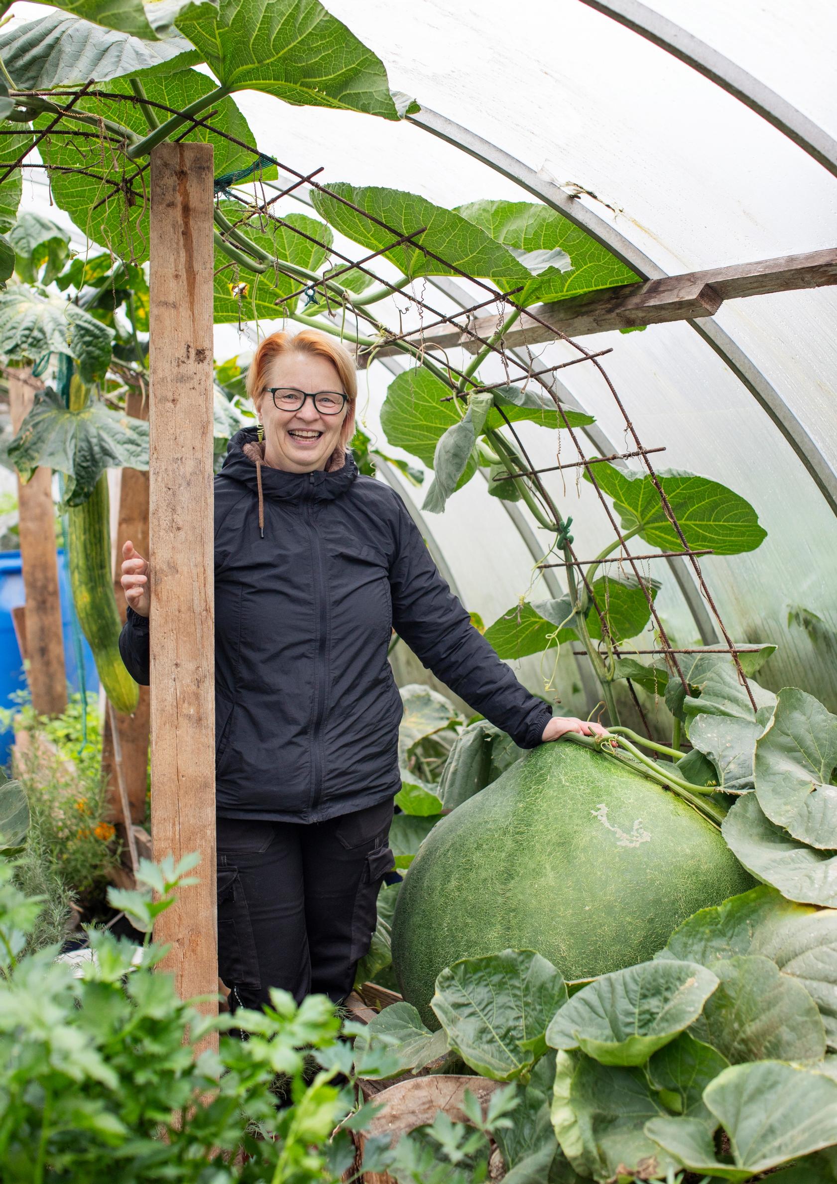 Pyöreä pullokurpitsa (Bushel Gourd) saavutti vuoden 2024 SE-mitan (98 kg).