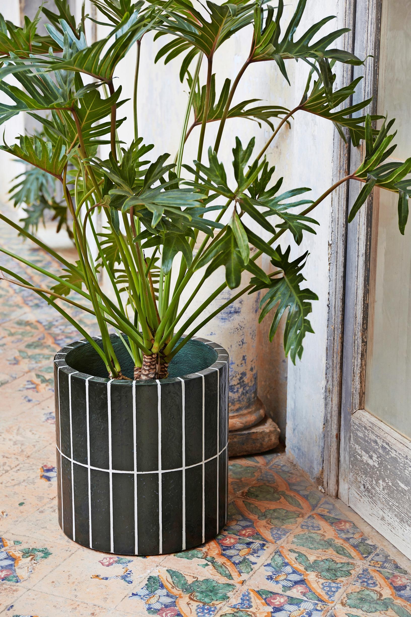 Ferm Livingin Pillar Plant -ruukku vanhan oven vieressä lattialla, ruukussa palmu