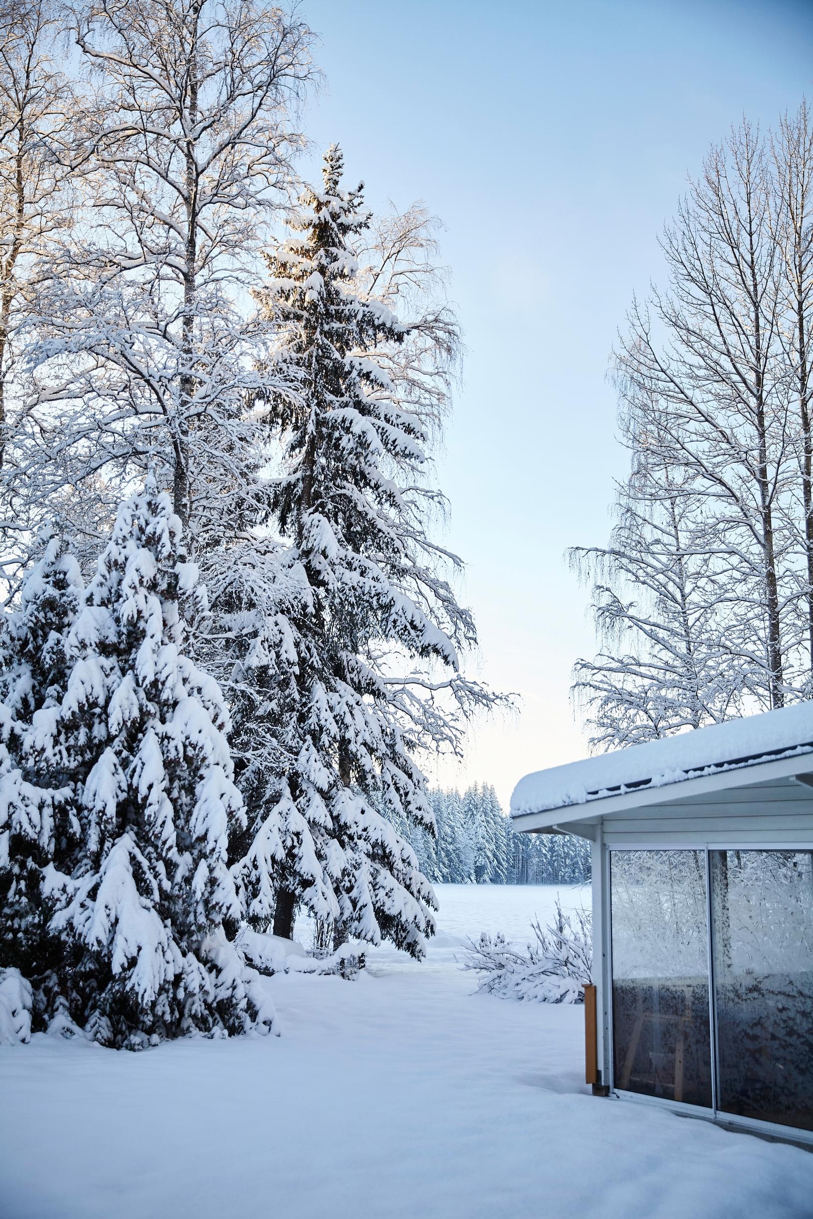 luminen metsänreuna ja järvimaisema, nurkka talon terassista