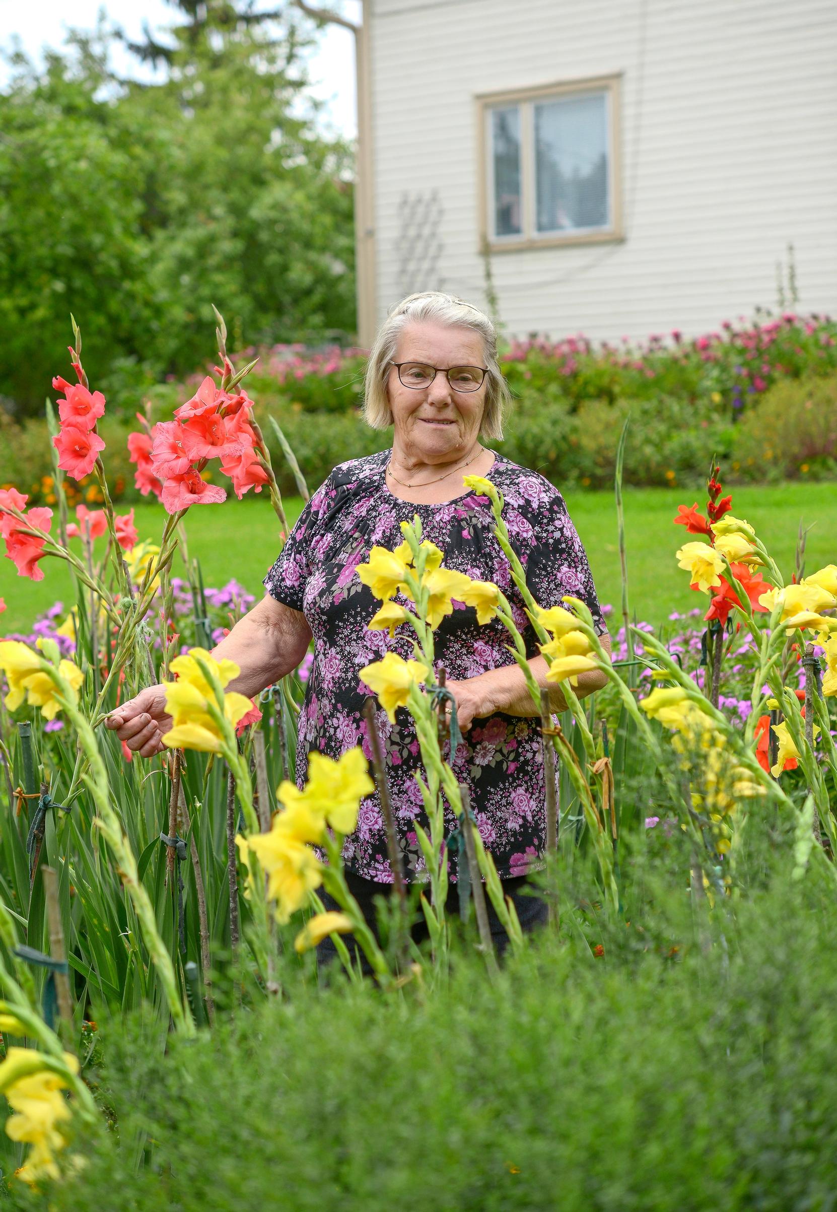 Marjatan mielestä gladiolukset viihtyvät parhaiten maassa.