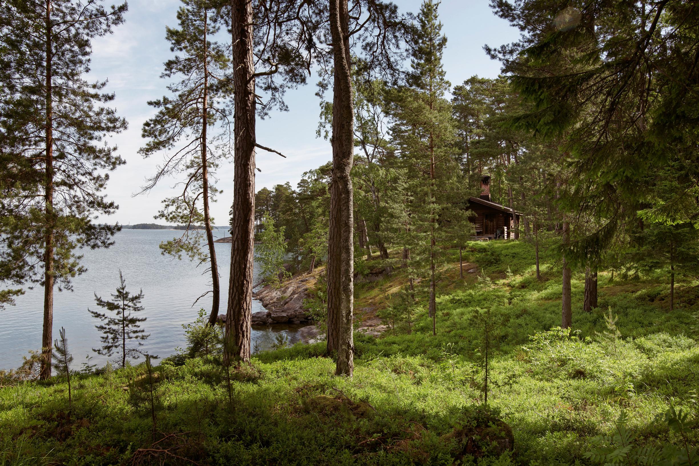 Metsämaisemaa Villa Oivalan pihapiirissä