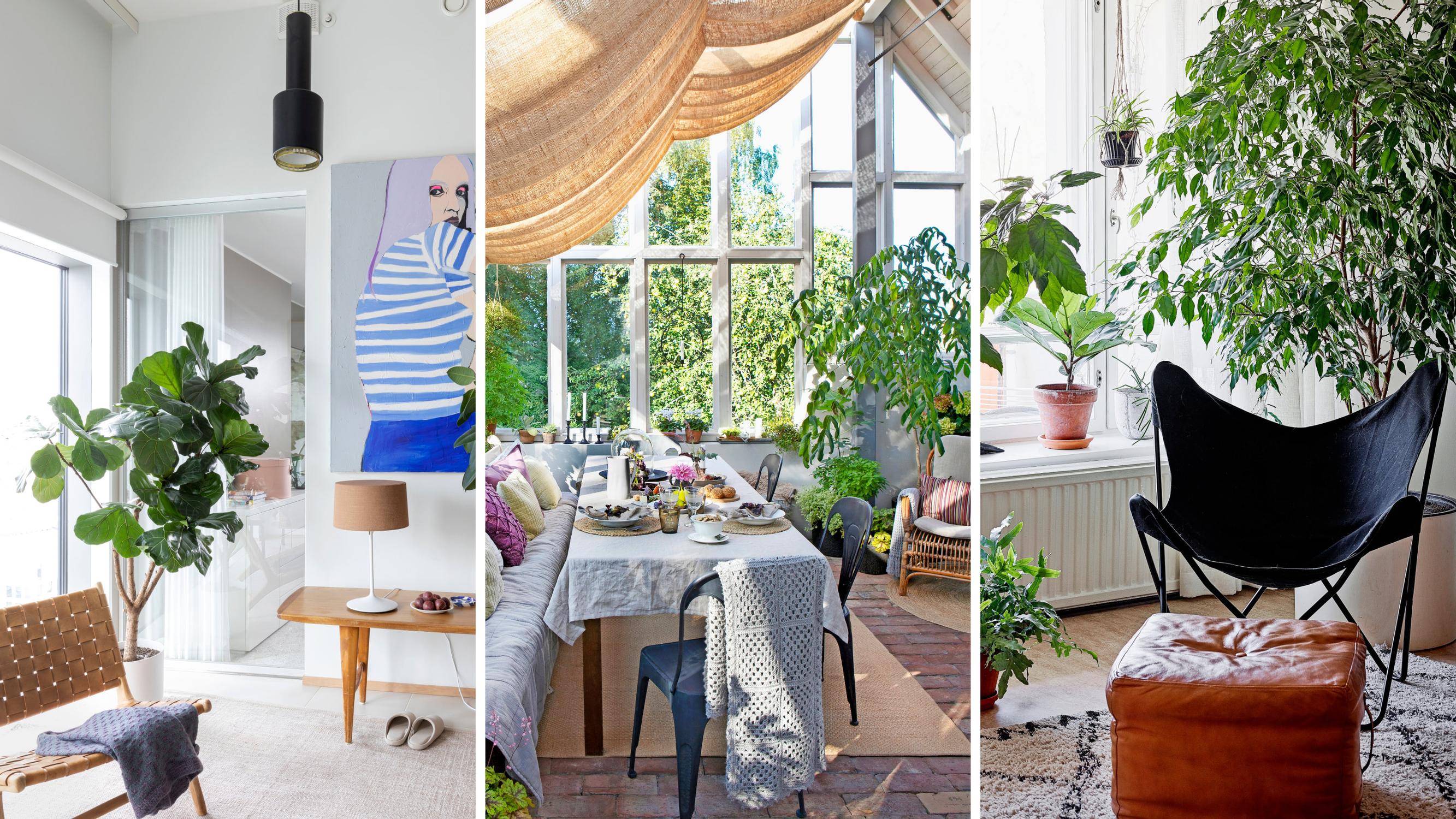 8 × unelmien viherhuone – katso ideat ja sisusta keidas rauhoittumiseen ja oleiluun!