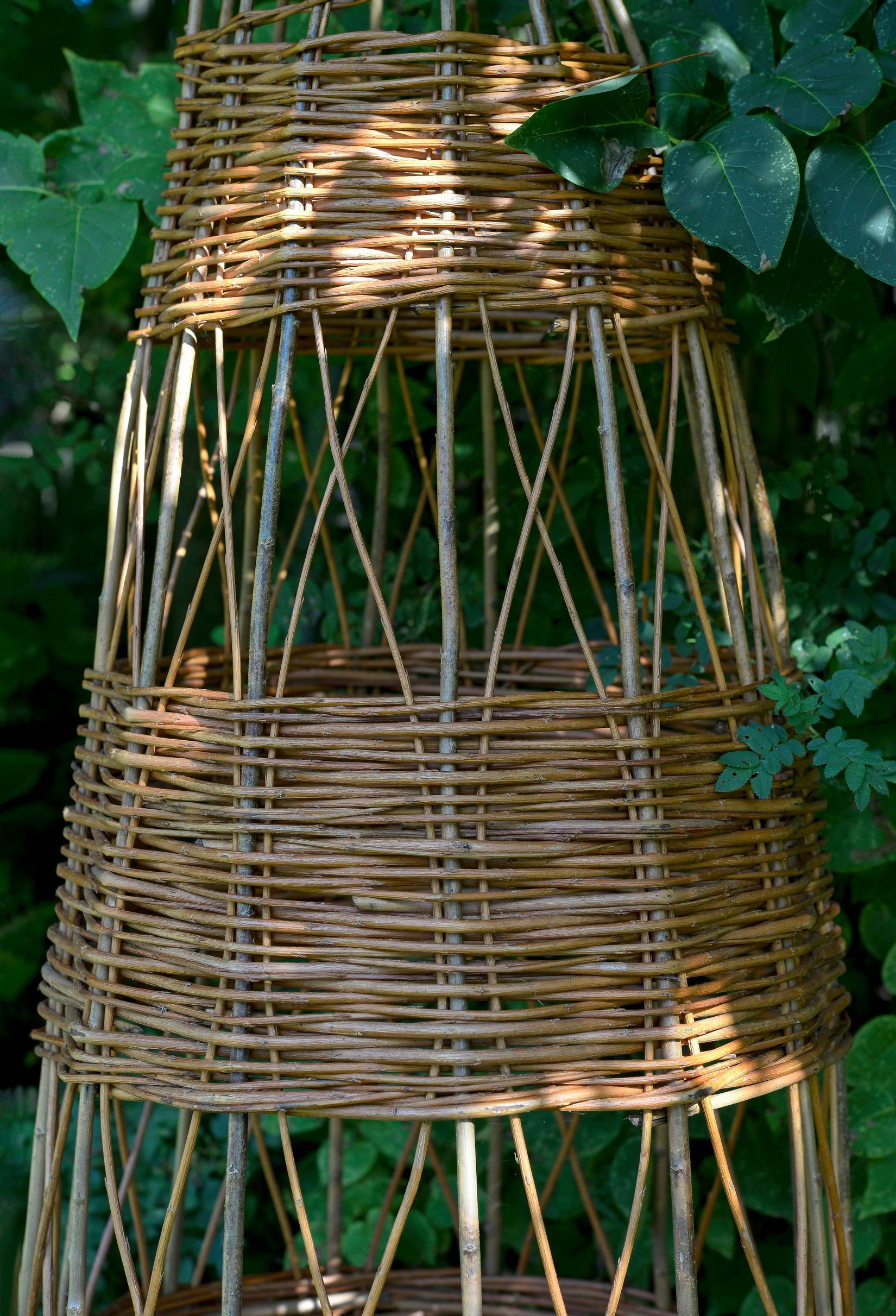 Palttinapunoksisen kasvituen loimi on vakkapajua, punos koripajua. 