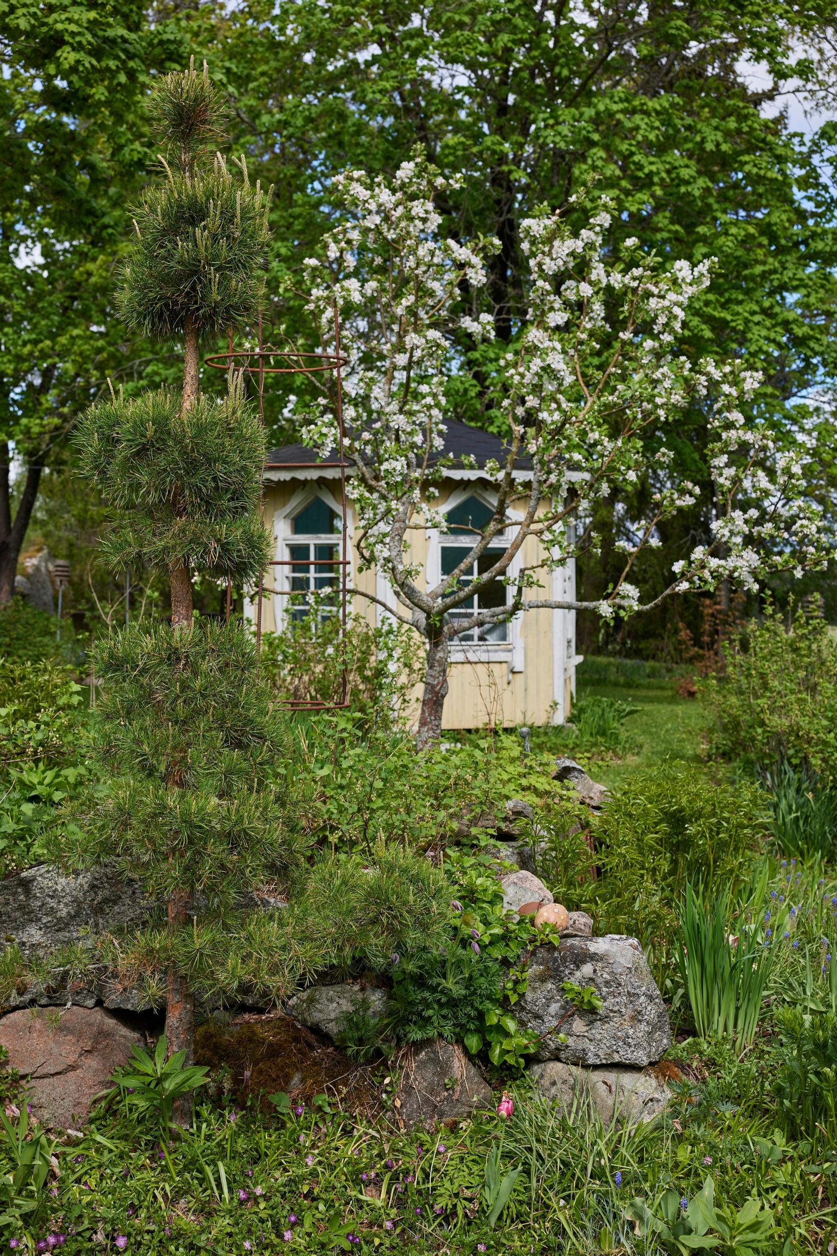 Metsämänty on muotoiltu kolmipalloiseksi kasviksi.