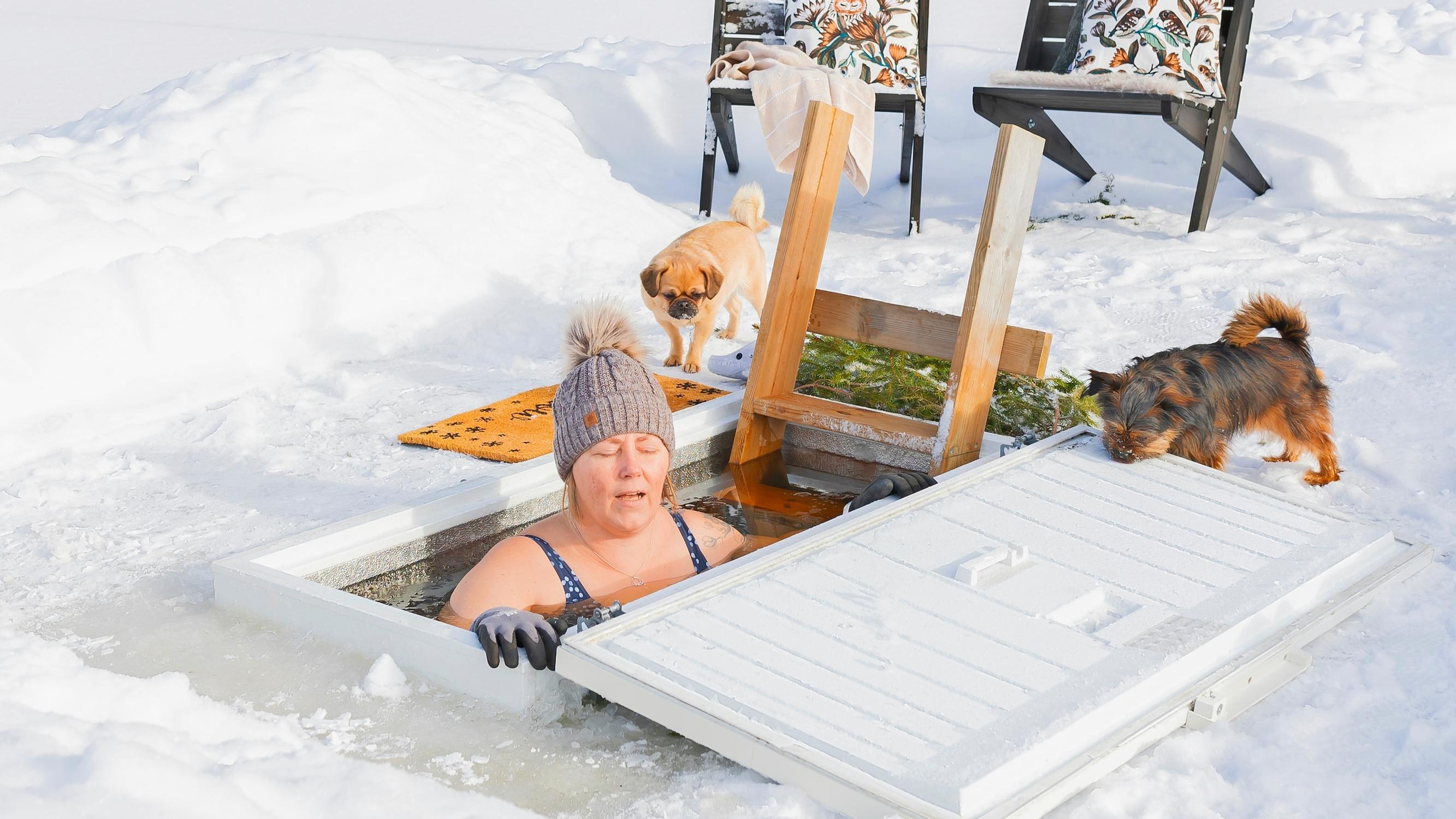 Mikä keksintö! Koiraperhe tuunasi arkkupakastimesta dippausavannon, jonka kannen saa kätevästi kiinni