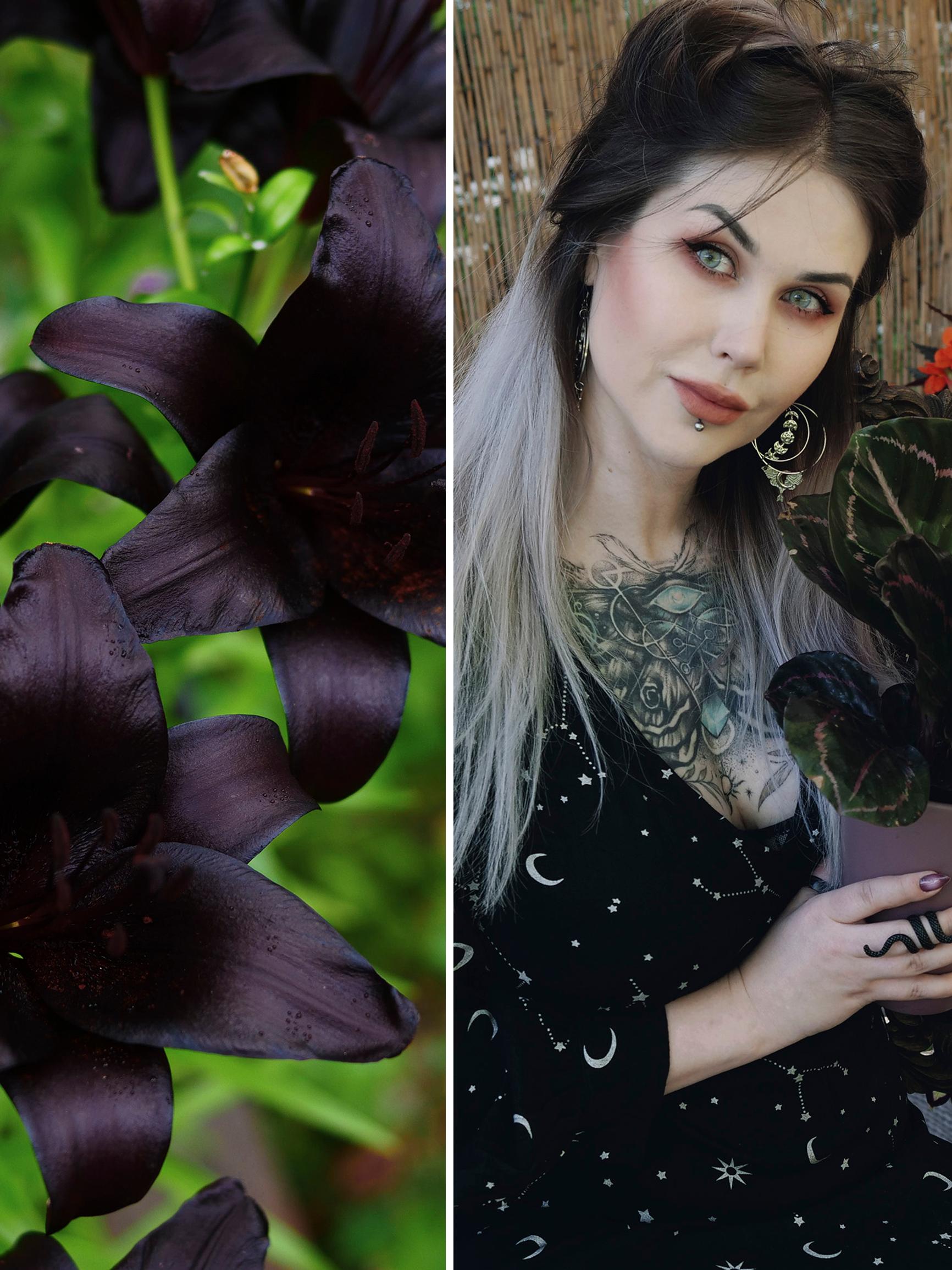 Goottipuutarha kukkii mustaa kauneutta! Ida-Emilia kerää pihaansa tummia harvinaisuuksia: ”Odotan, että musta ruusu aukeaa!”