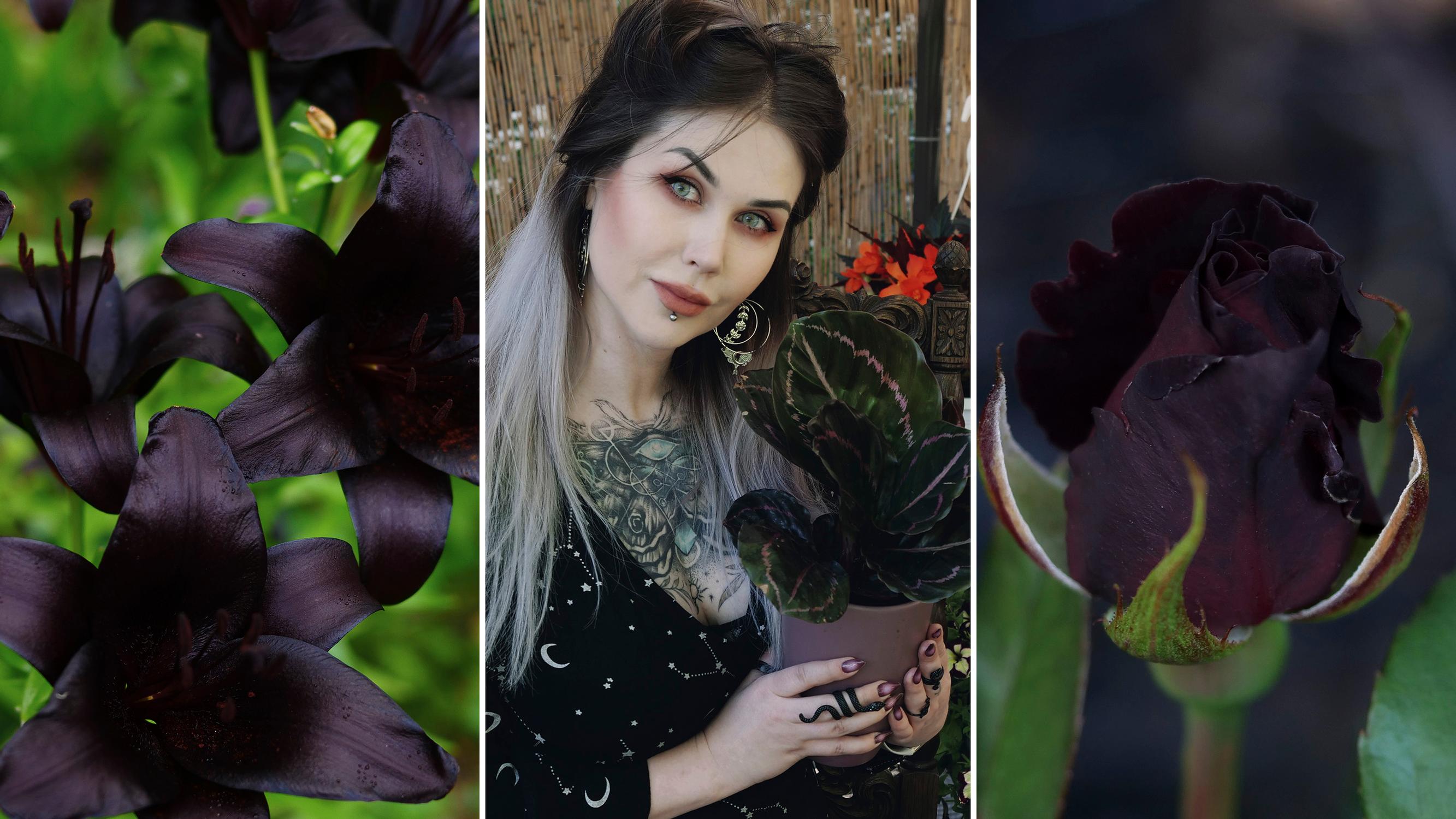 Goottipuutarha kukkii mustaa kauneutta! Ida-Emilia kerää pihaansa tummia harvinaisuuksia: ”Odotan, että musta ruusu aukeaa!”