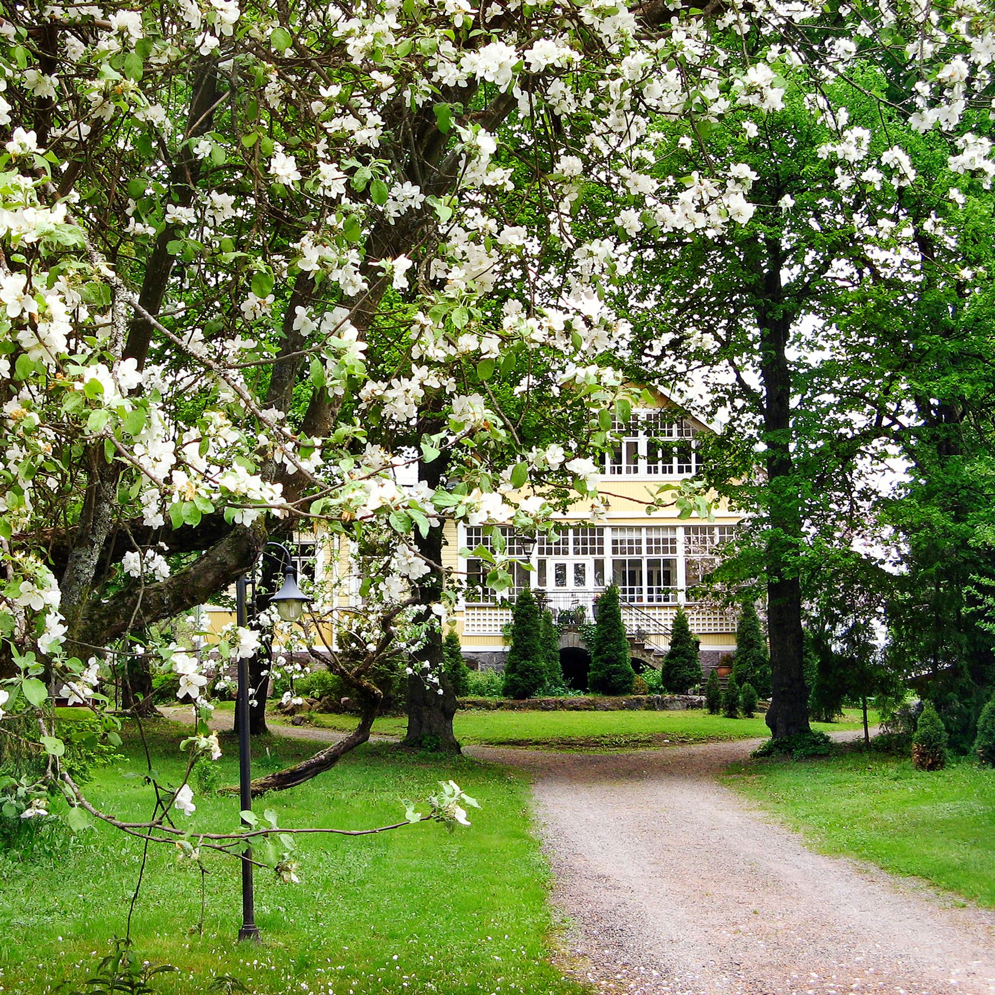 Satumainen jugendhuvila omenapuiden katveessa – ”On ollut ihanaa päästää luovuus valloilleen kotia sisustaessa”