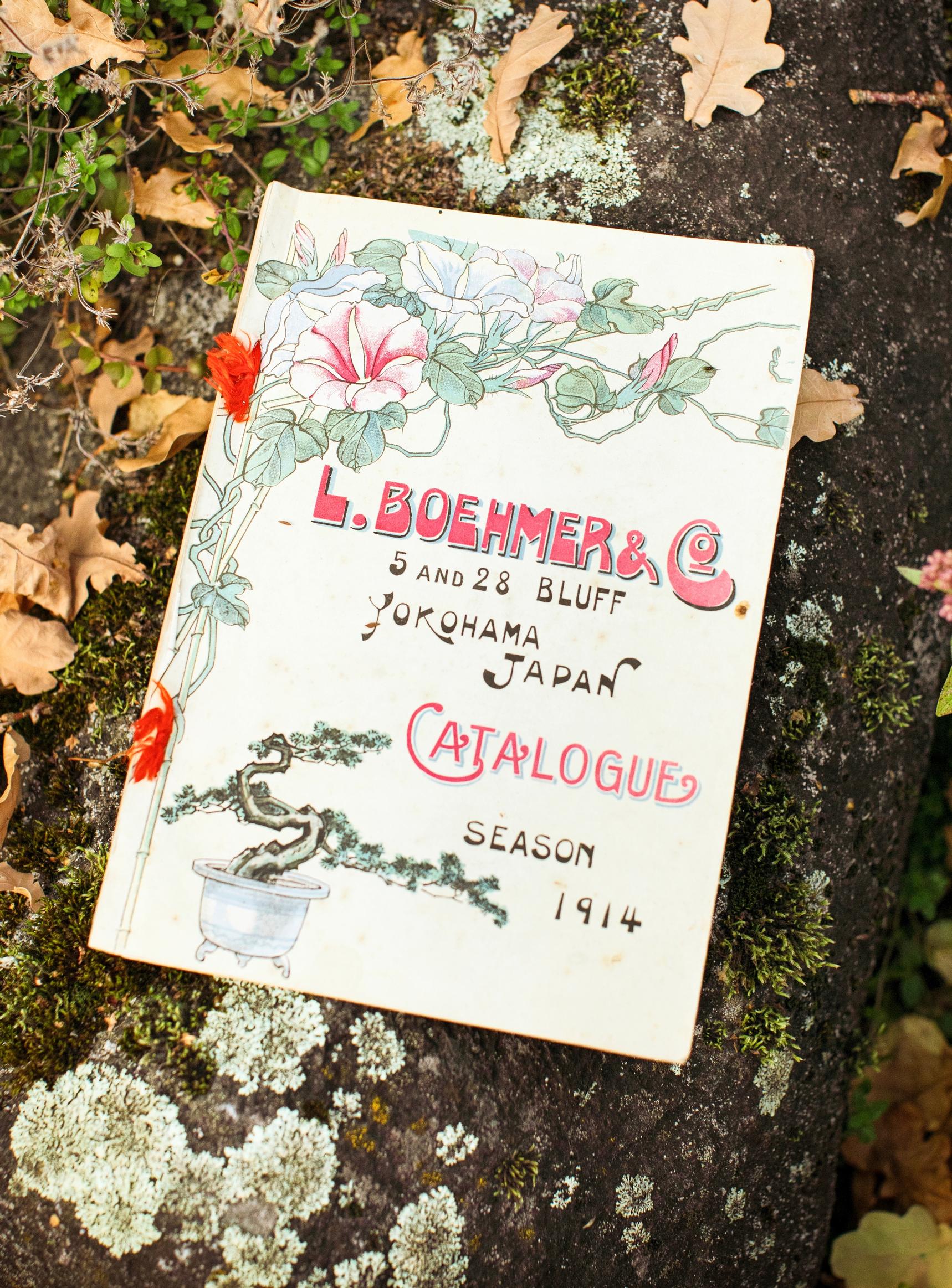 Saksalainen siemenopas vuodelta 1914.