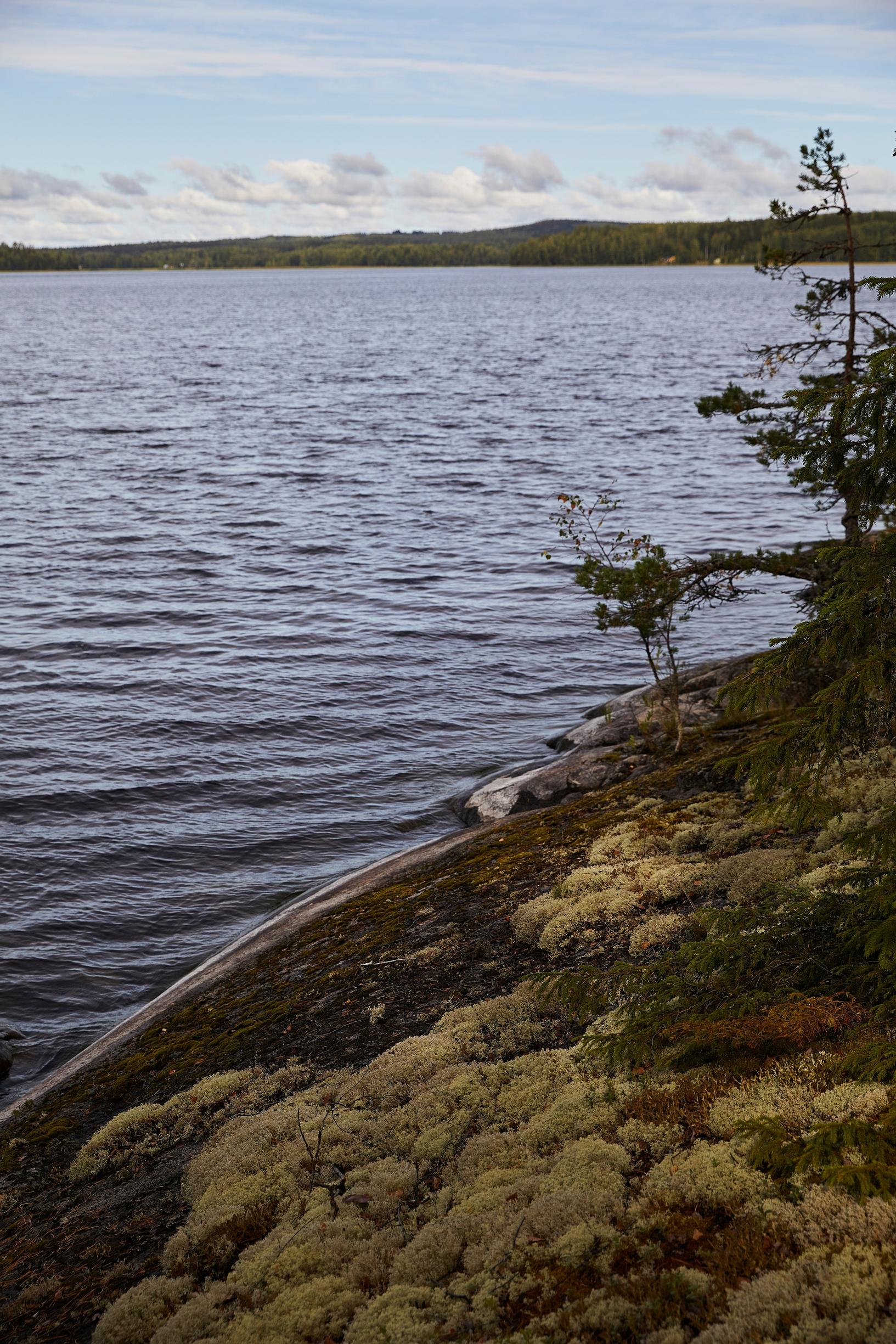 Näkymä järvelle rantakalliolta, jäkälää.