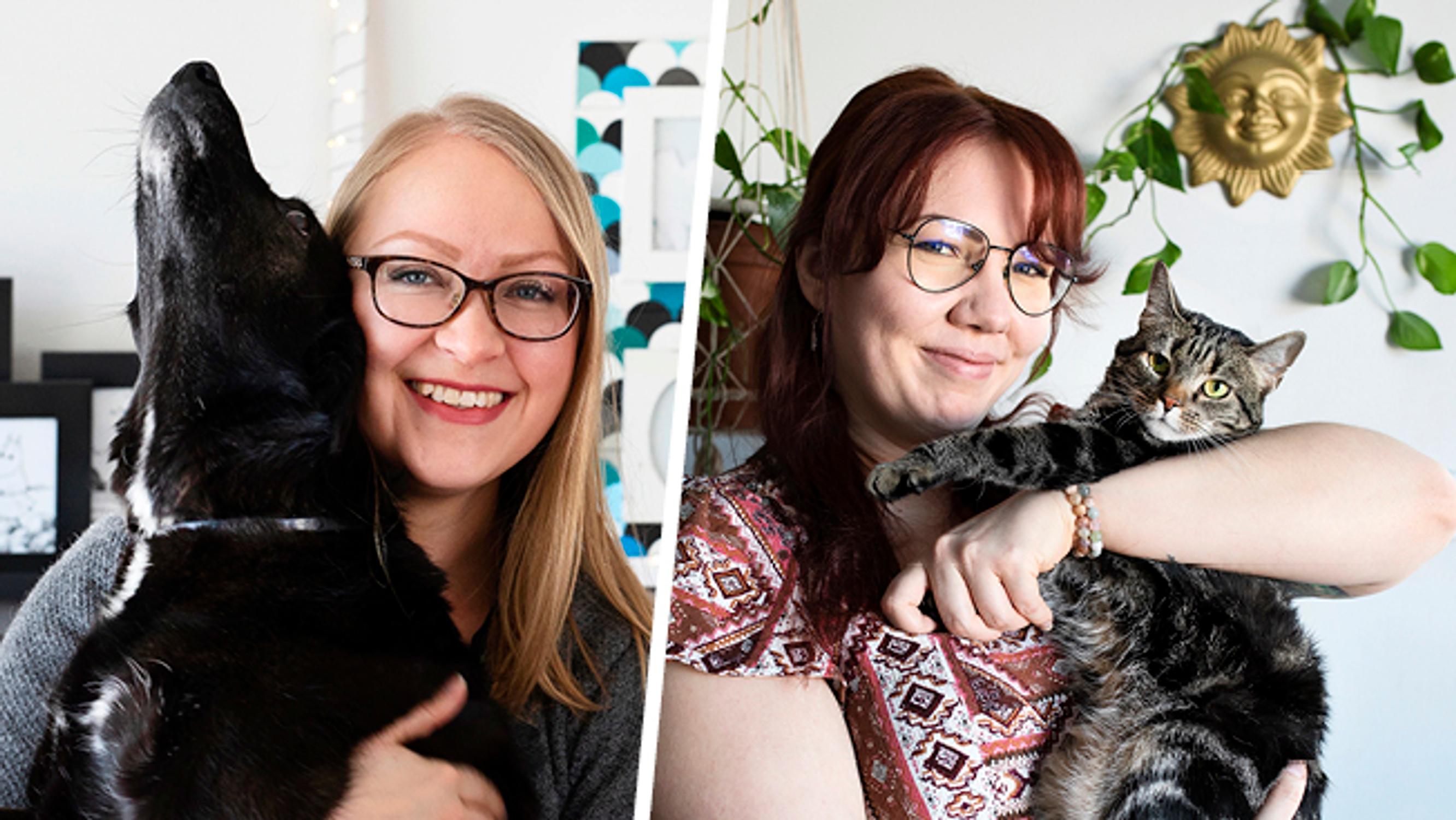 Temppurata seinällä ja koirankoppi olohuoneessa – Snadi-koira sekä kissat Savu ja Sumu näyttävät, miten lemmikki muuttaa kotia