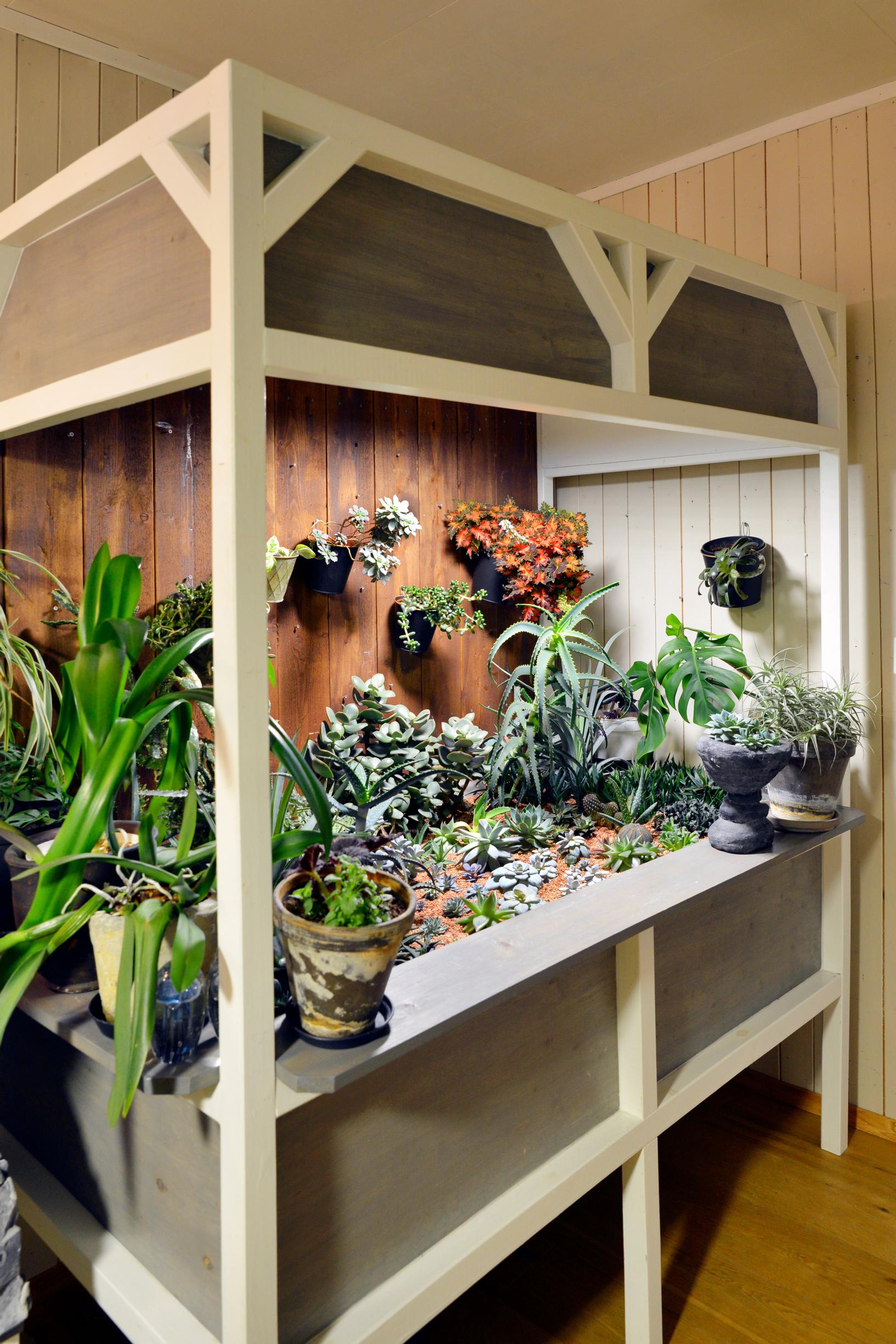 Päivi on suunnitellut ja rakentanut mehikasveilleen mehimaailman.