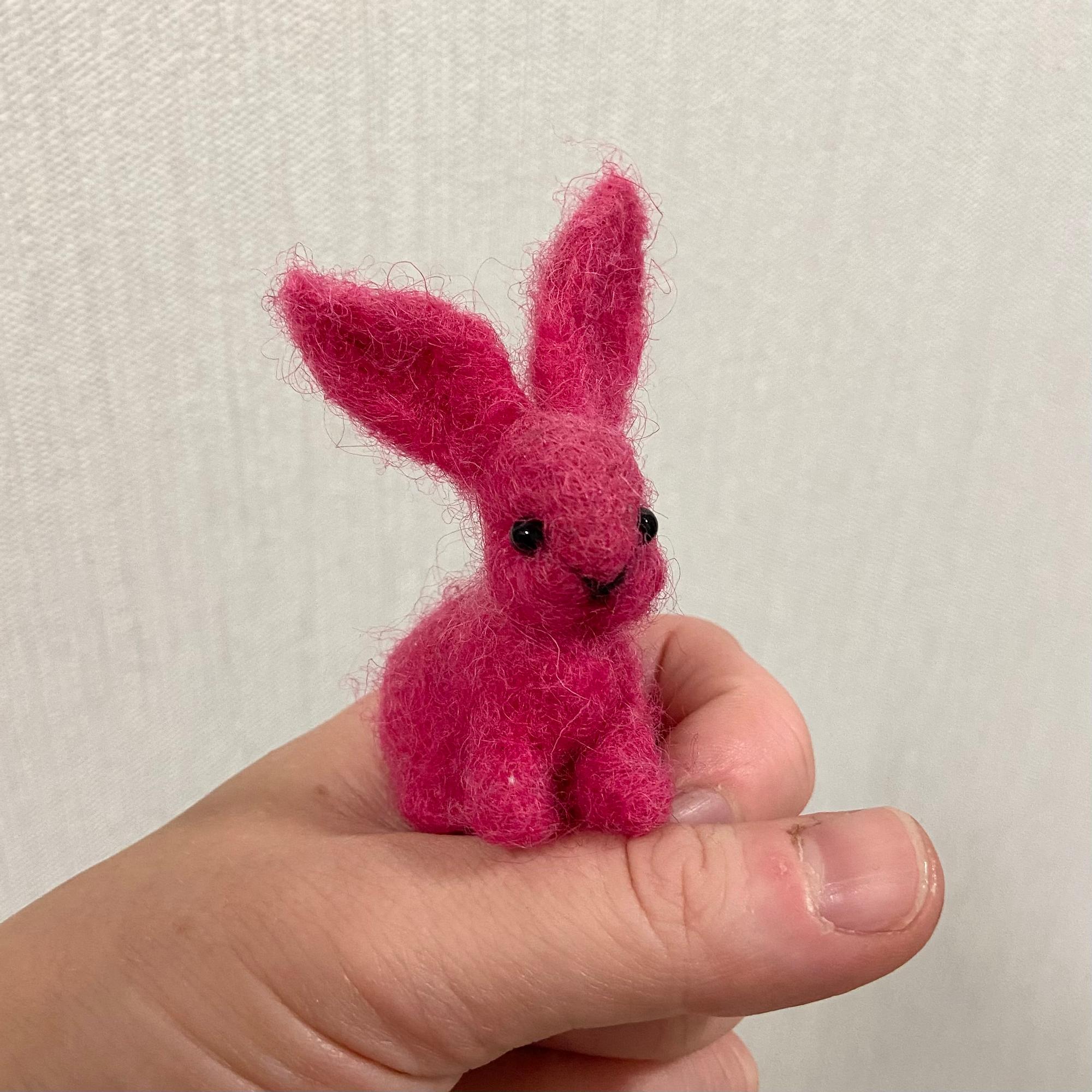 Pieni huovutettu pupu