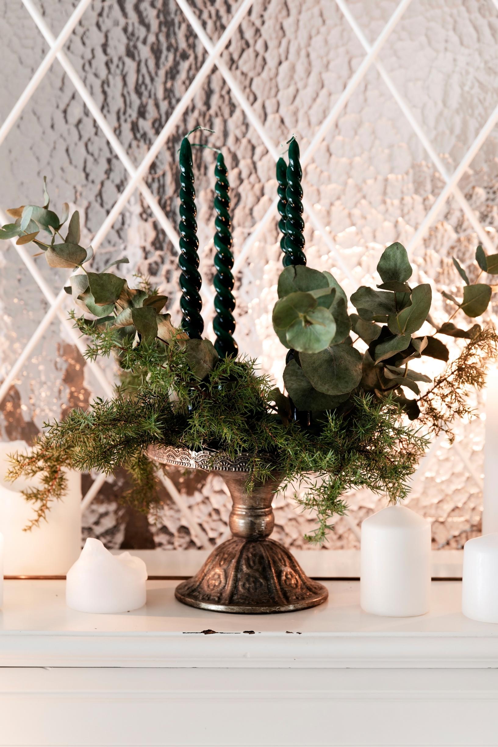 Viheroksista asetelma, jossa adventtikynttilät.