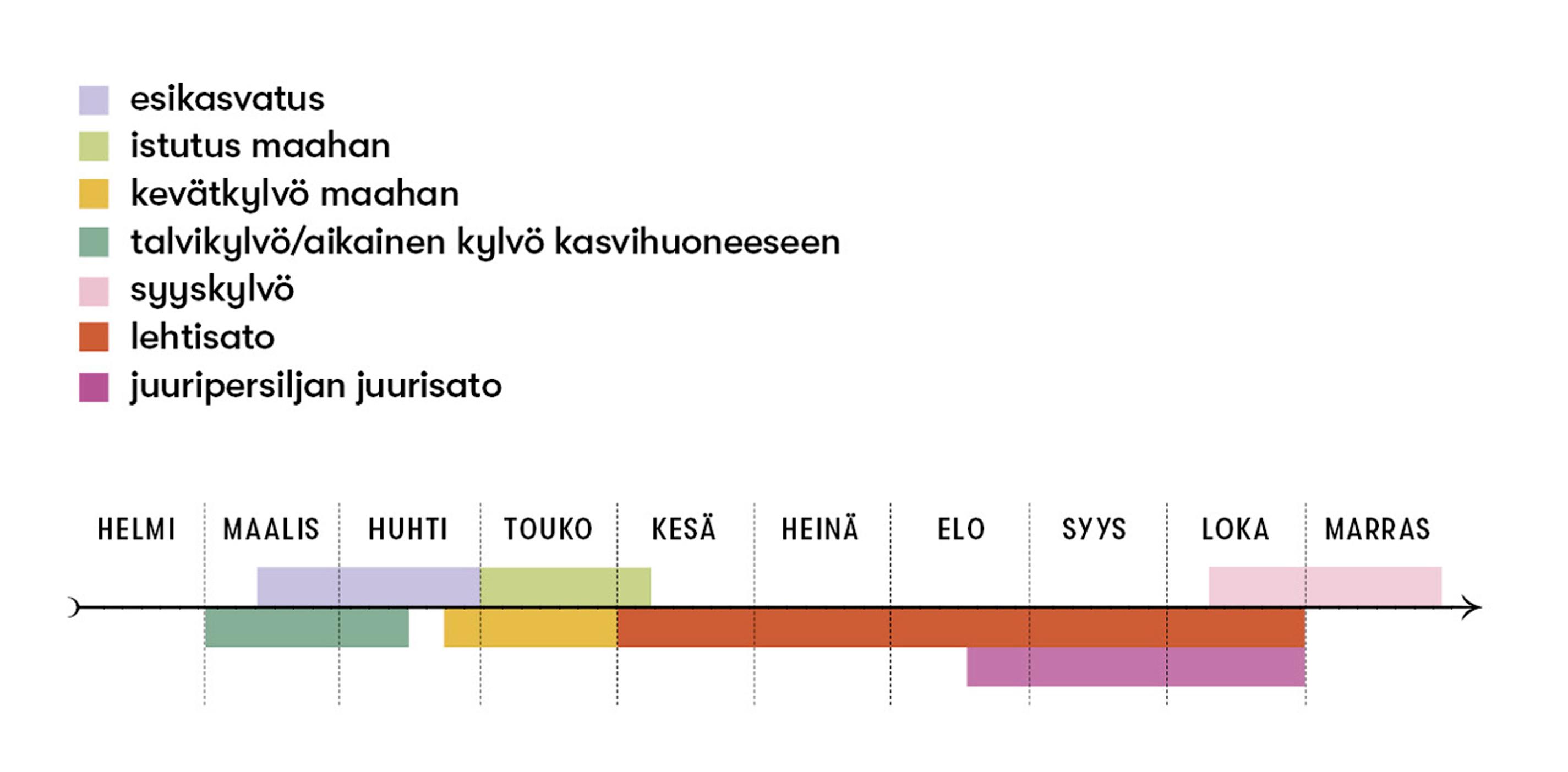 Persiljan kylvö- ja satoajat