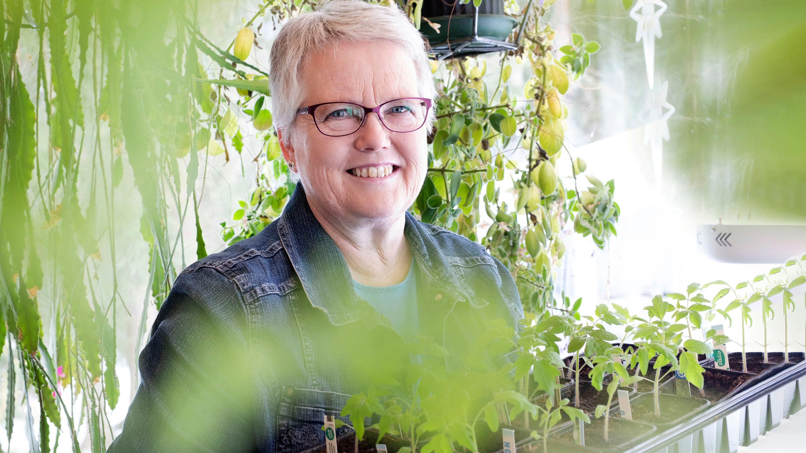 Ruukkuja ei tarvitse pestä, sanoo biologi ja puutarhavaikuttaja Leena Luoto
