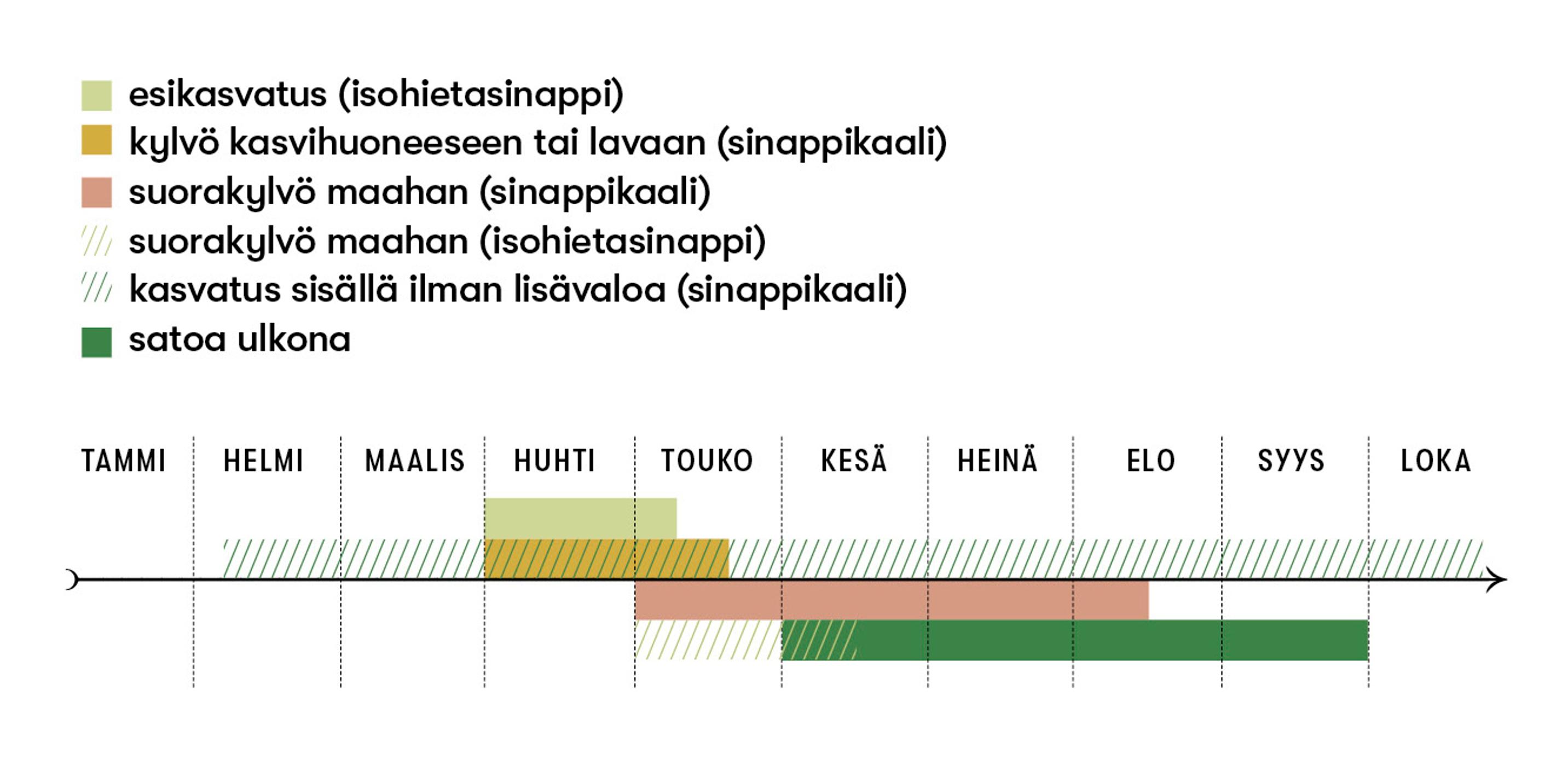 Rukolan kylvö- ja satoajat