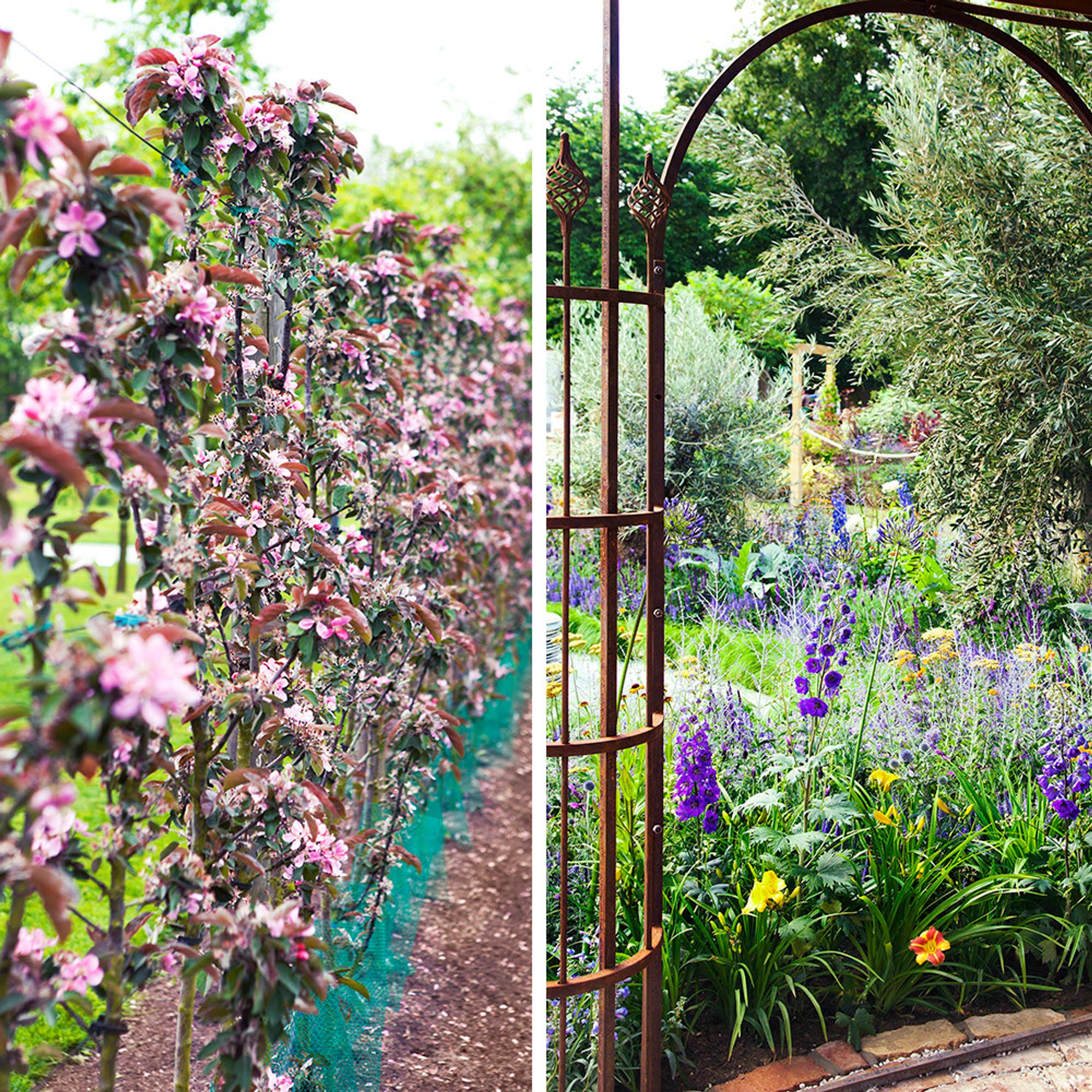 14 × näkösuoja pihalle