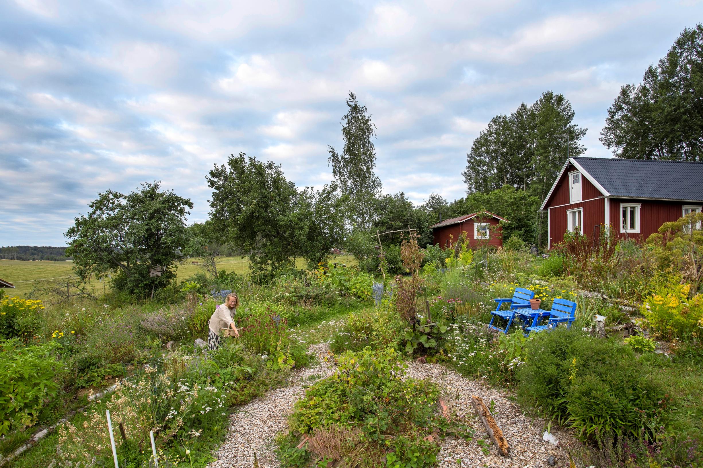 Ulla-Maija puutarhassaan