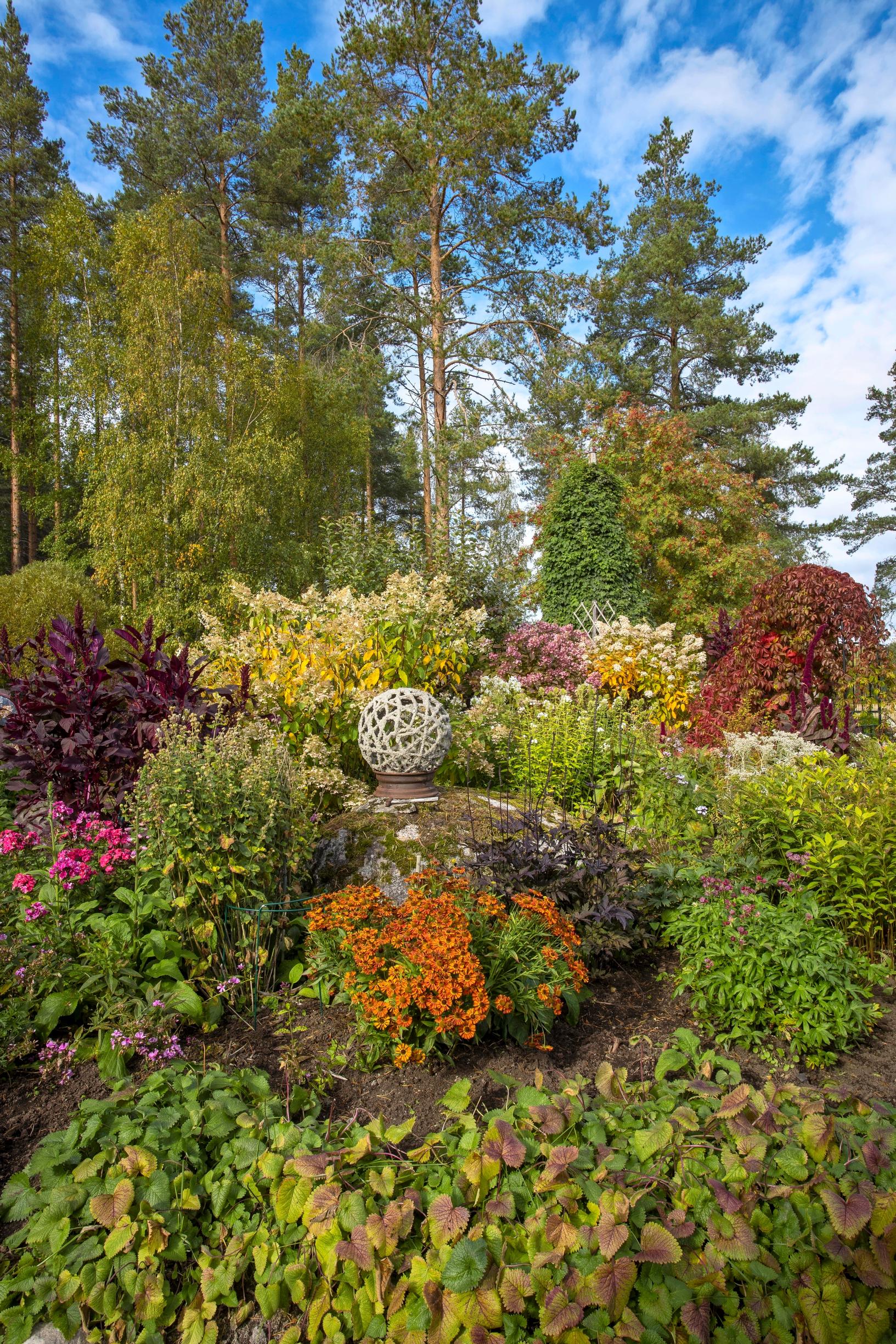 Betoninen pallo kasviryhmän keskellä Marian puutarhassa. Etualalla kukkii syyshohdekukka.