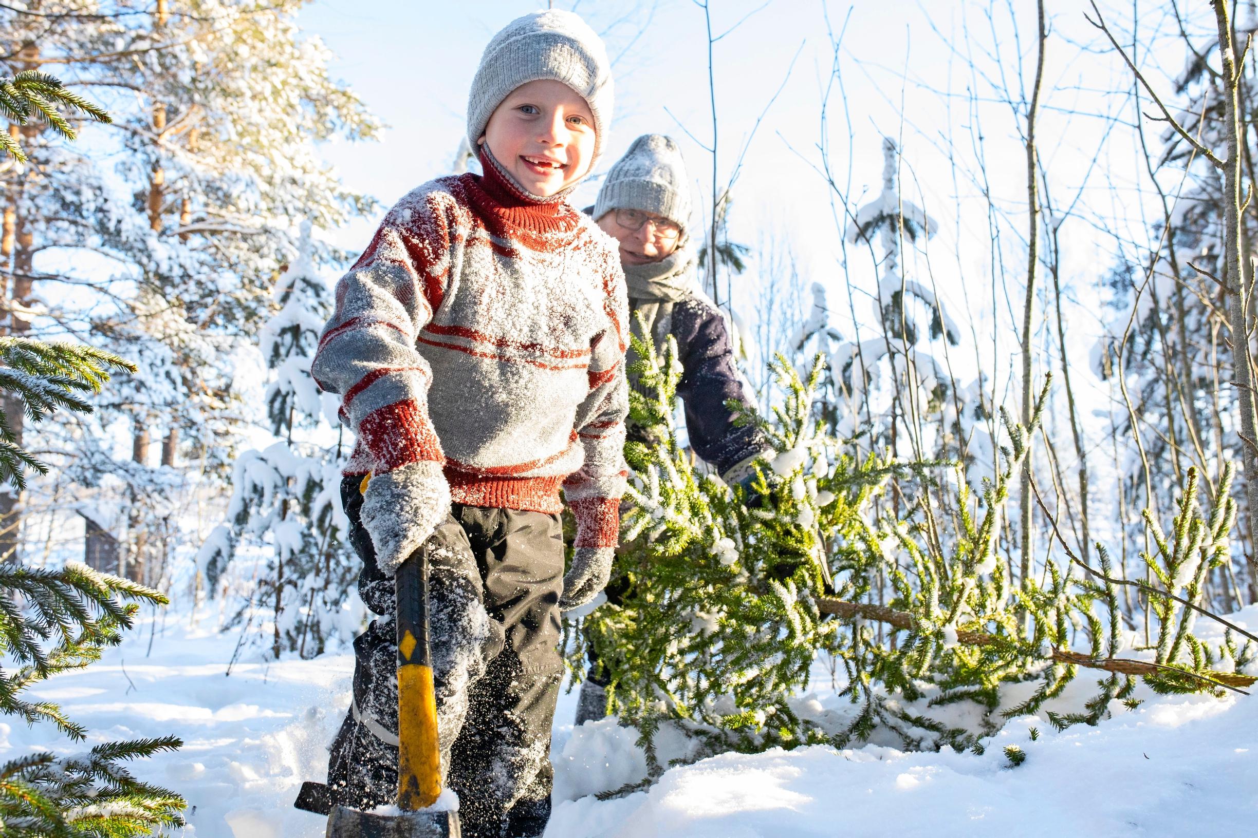 Huhtaniemet joulukuusen hakureissulla