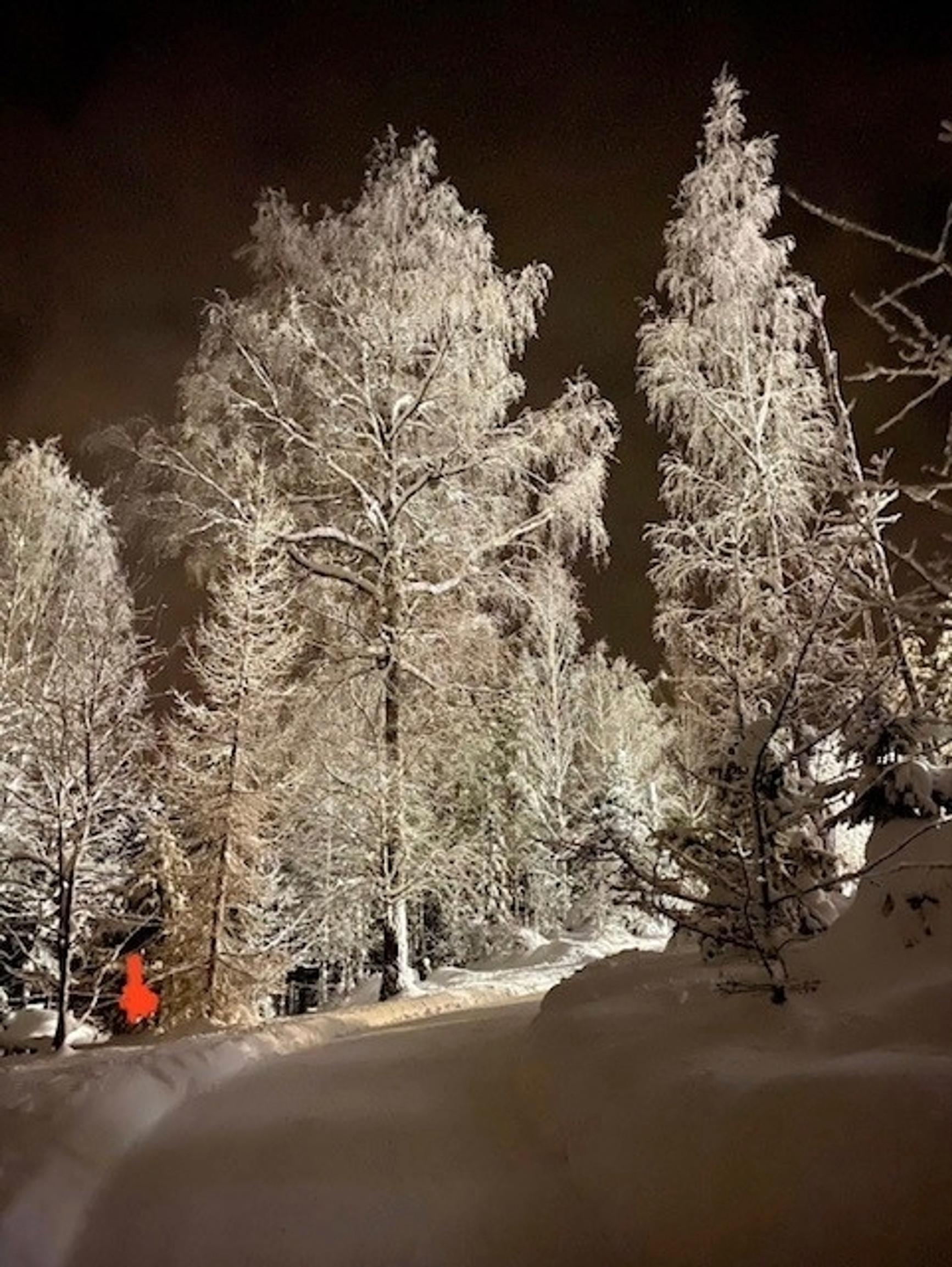 Näyttelijä Pirkka-Pekka Peteliuksen luminen mökkitie