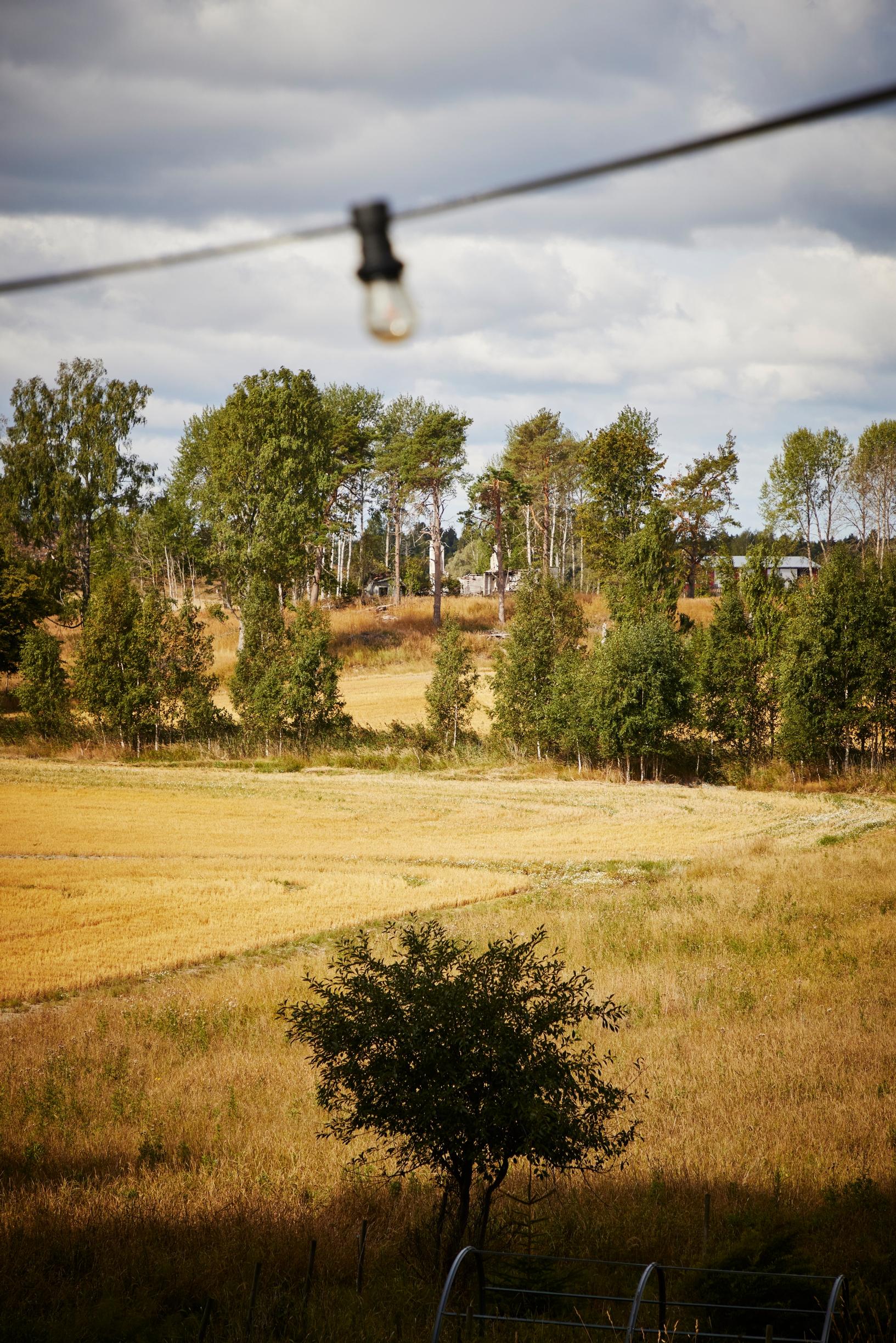 Avaraa peltomaisemaa