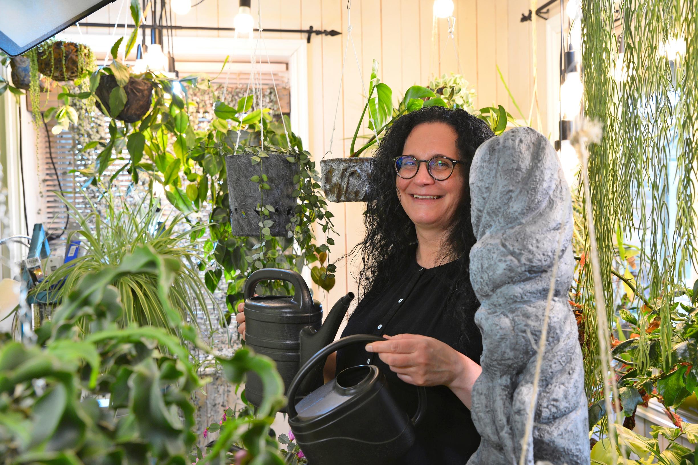 Päivin kotona tunnelma on paikoin kuin sademetsässä.