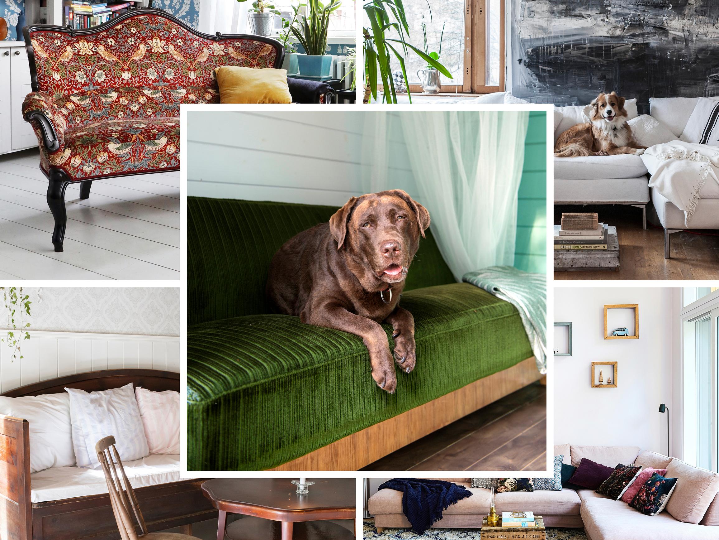 Oletko ryhdikäs puusohva tai kiehkurainen rokokoosohva? Hupsu testi kertoo, millainen sohva olet!