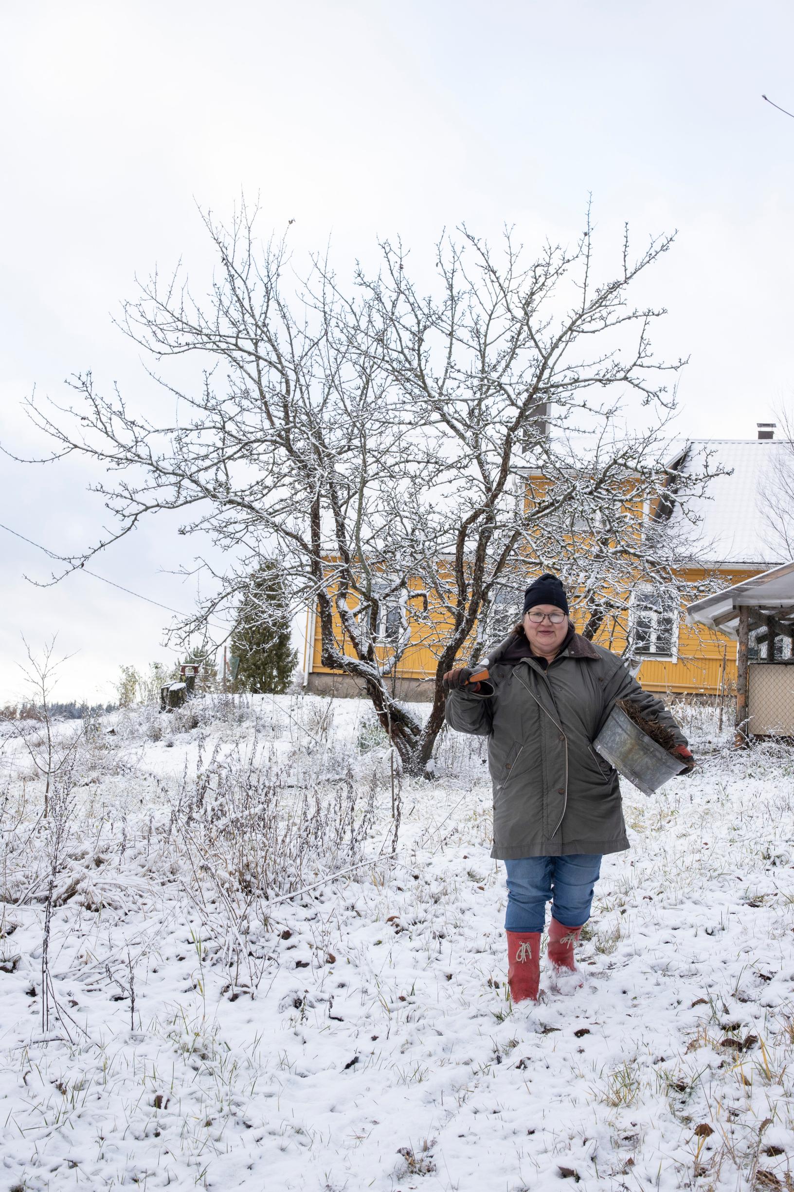 Puutarhuri Teija Tengvall matkalla nostamaan kielon juurakoita maasta.