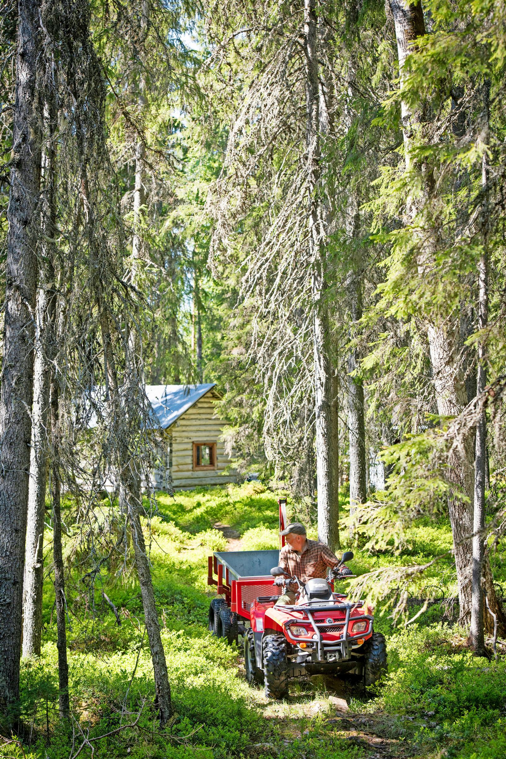 Puulastin kyyditsemistä mönkijällä ja peräkärryllä metsässä