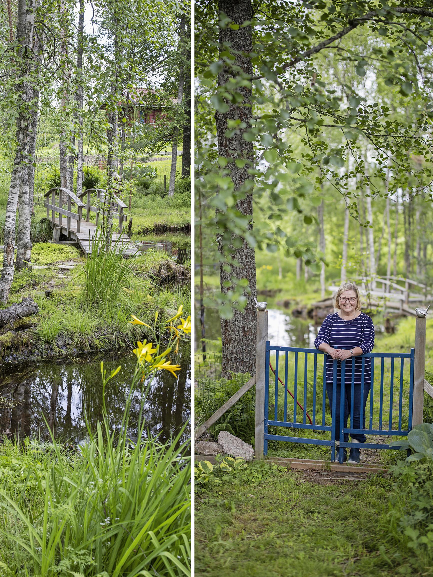 Eeva ja Hannu muokkasivat pajuryteiköstä satumaisen kauniin luontopuutarhan – ”Sammalet ovat minulle rakkaimpia”