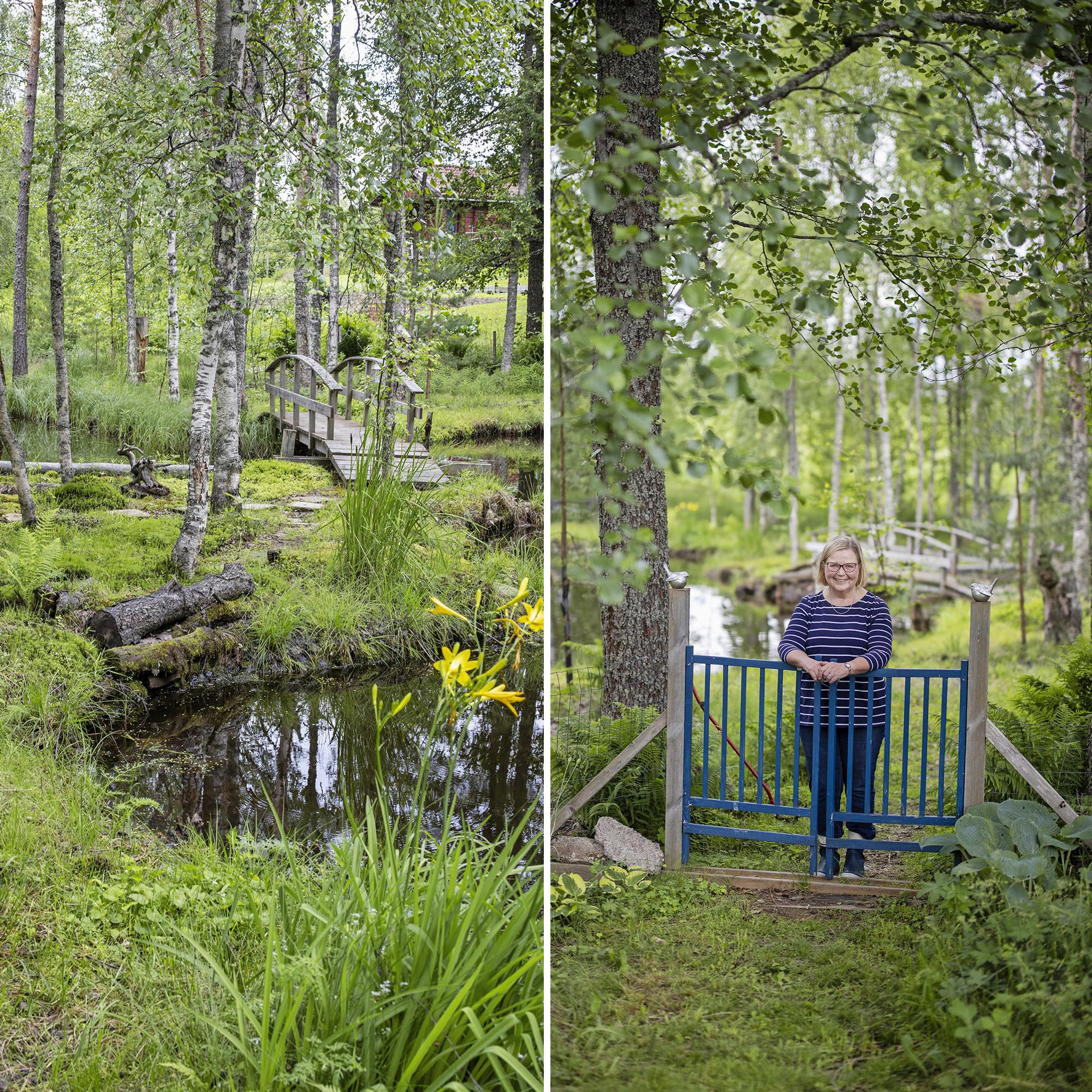 Eeva ja Hannu muokkasivat pajuryteiköstä satumaisen kauniin luontopuutarhan – ”Sammalet ovat minulle rakkaimpia”