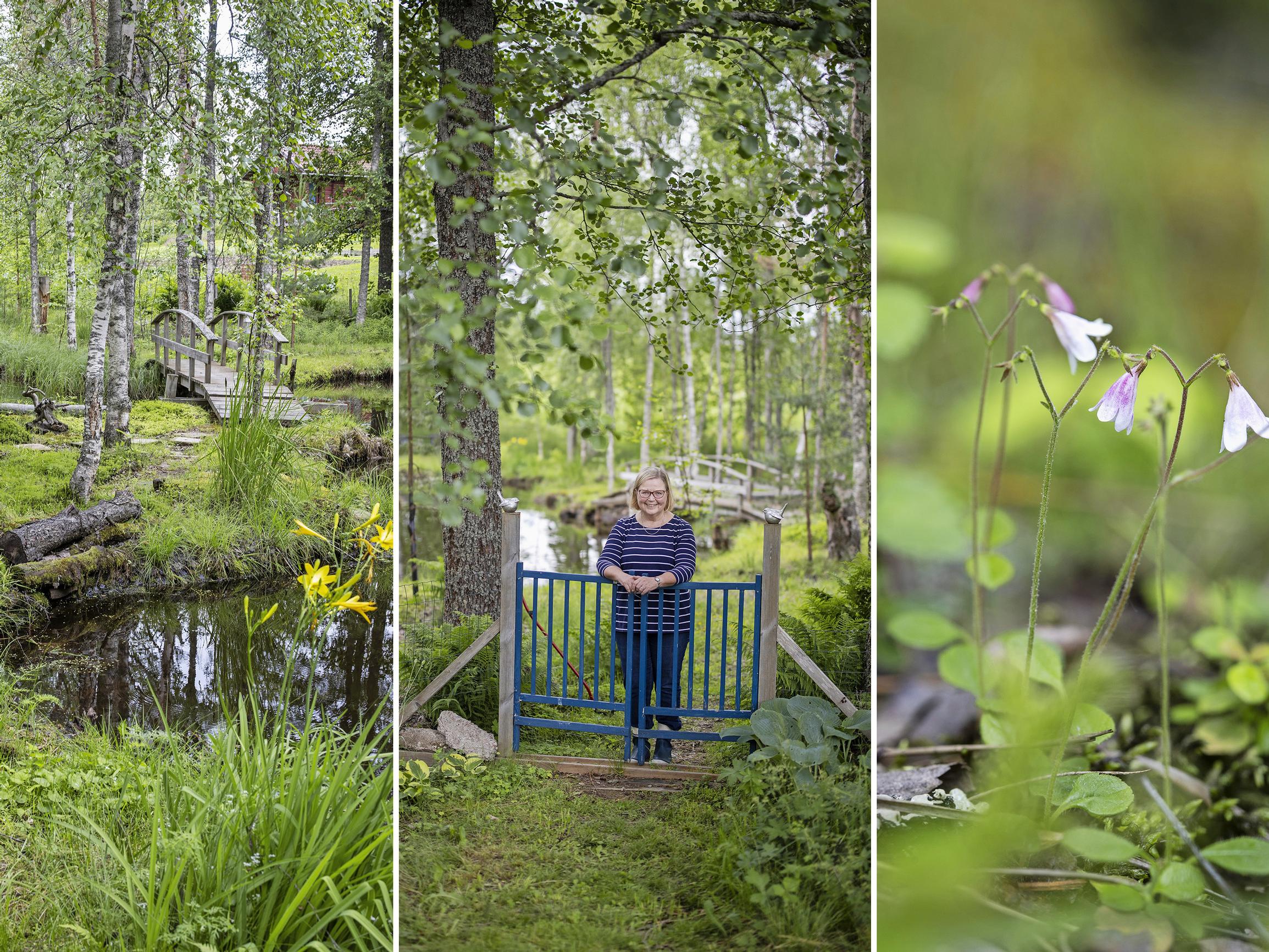 Eeva ja Hannu muokkasivat pajuryteiköstä satumaisen kauniin luontopuutarhan – ”Sammalet ovat minulle rakkaimpia”
