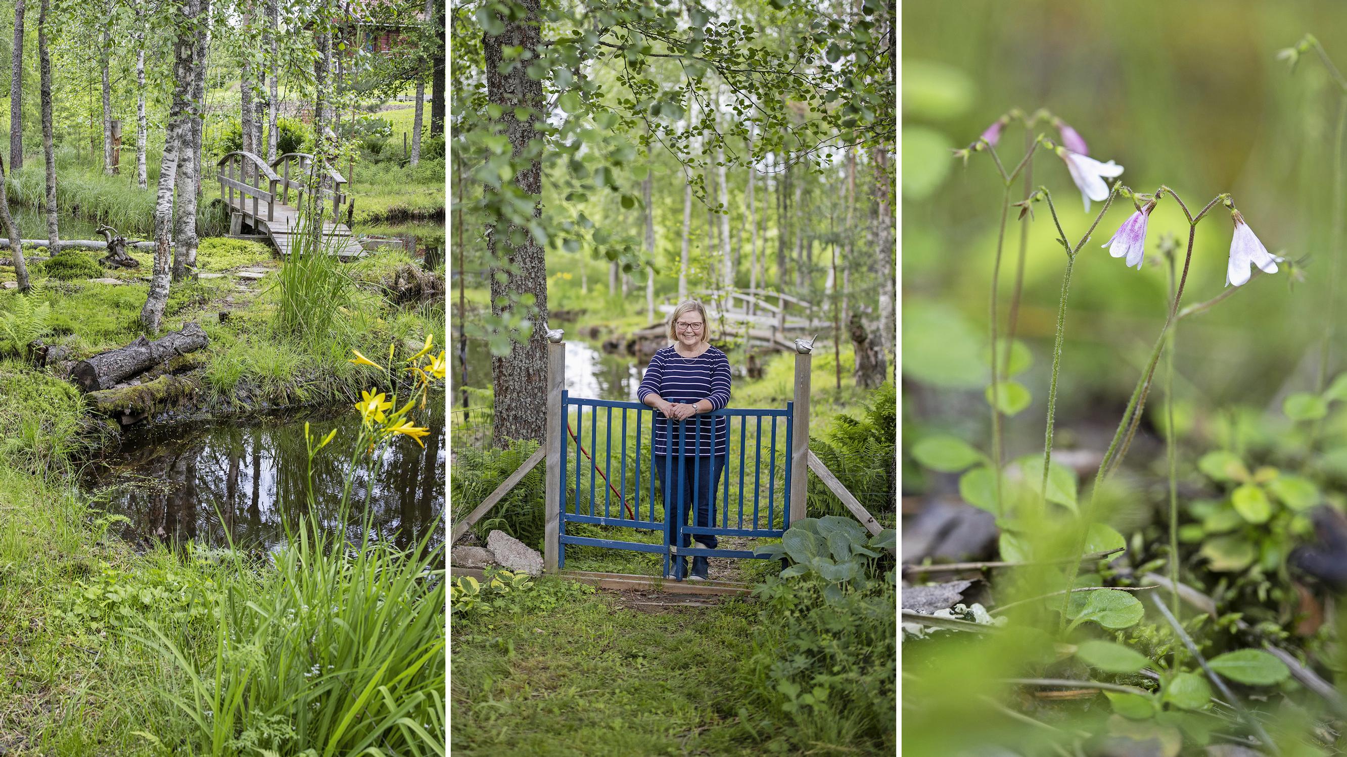 Eeva ja Hannu muokkasivat pajuryteiköstä satumaisen kauniin luontopuutarhan – ”Sammalet ovat minulle rakkaimpia”