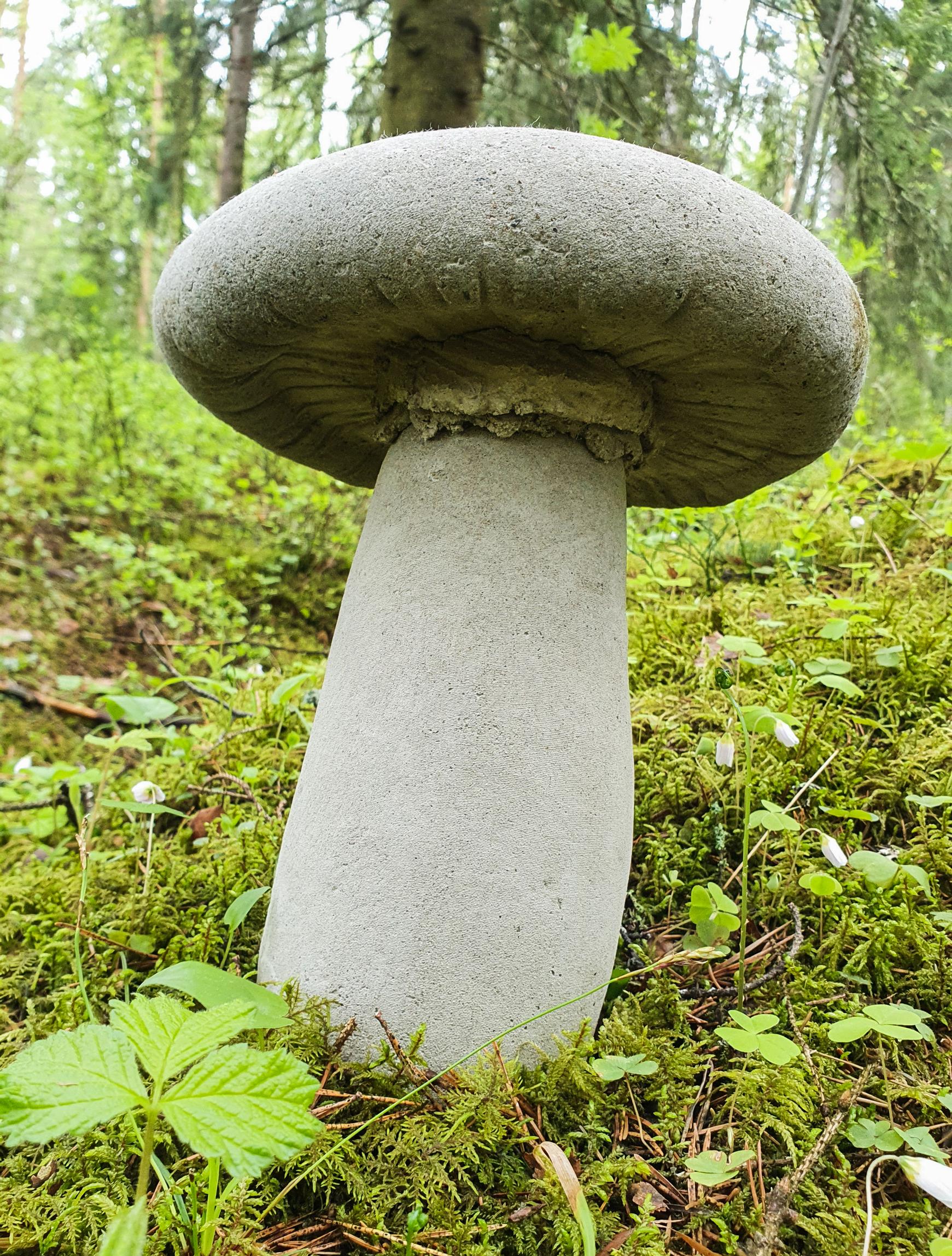 Betonisieni